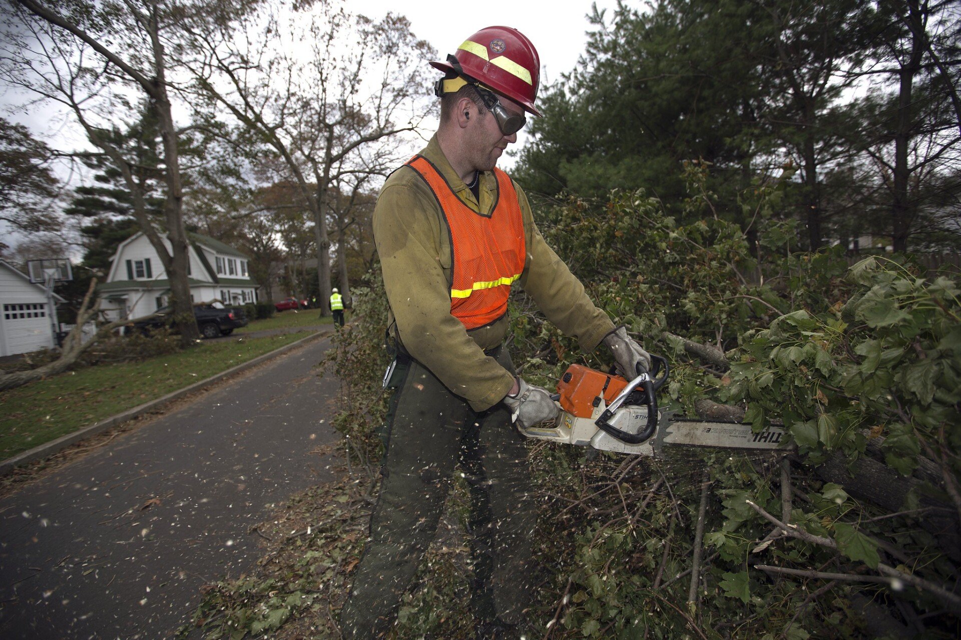 Tree Service, Removal, Trimming, Stump Grinding in Carrollton Ga