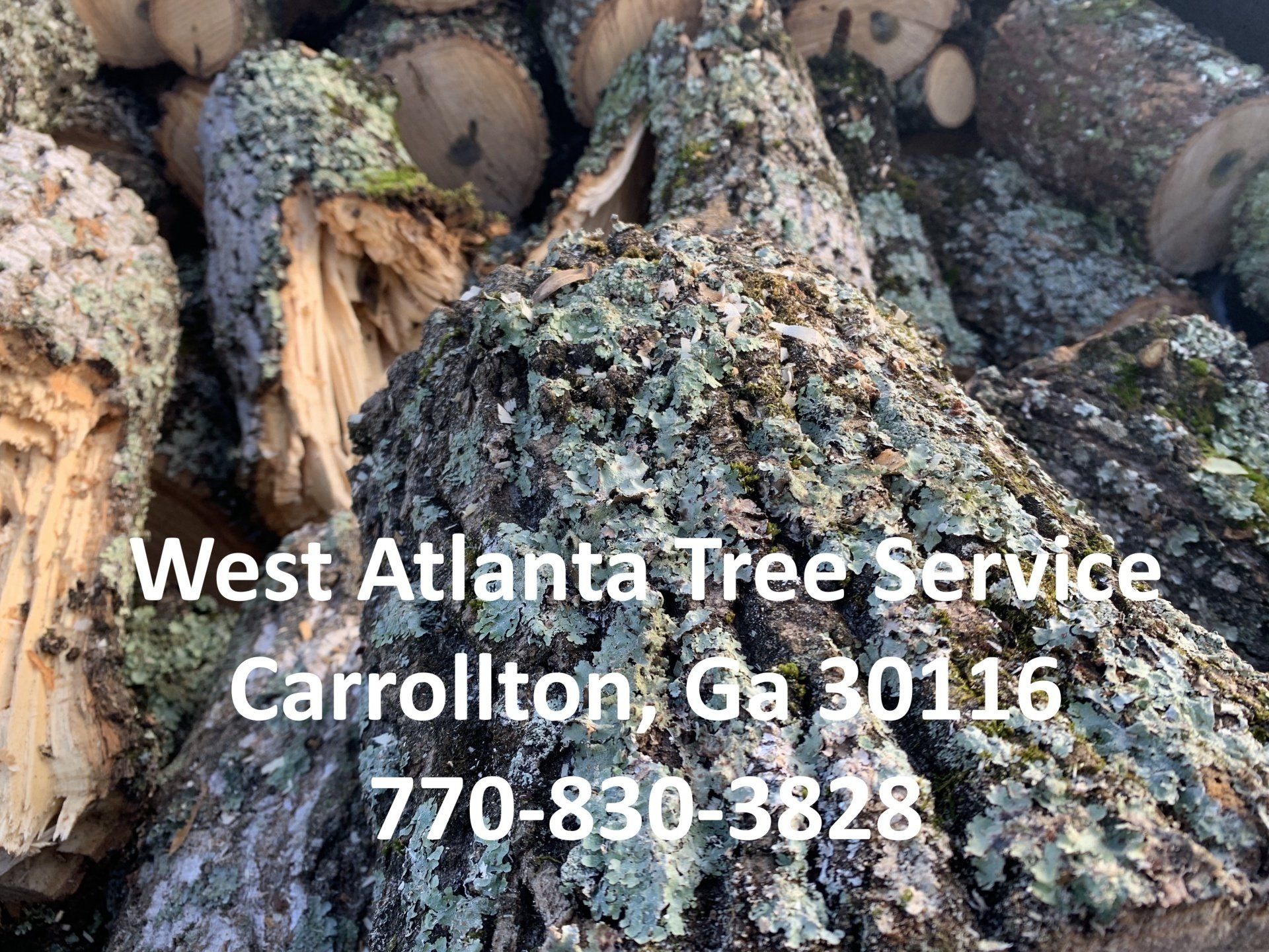 tree service carrollton ga