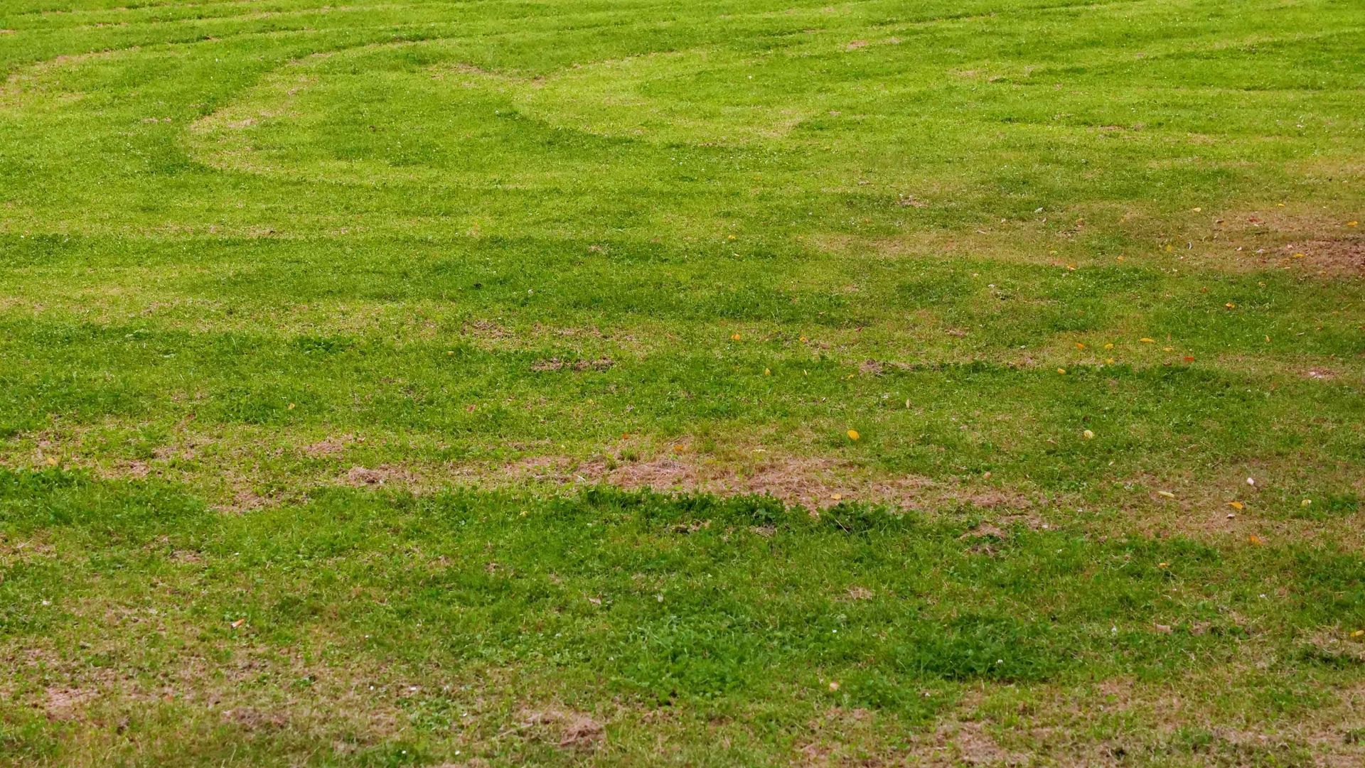 A patchy lawn with streaks of bright green grass and dry, brown soil.