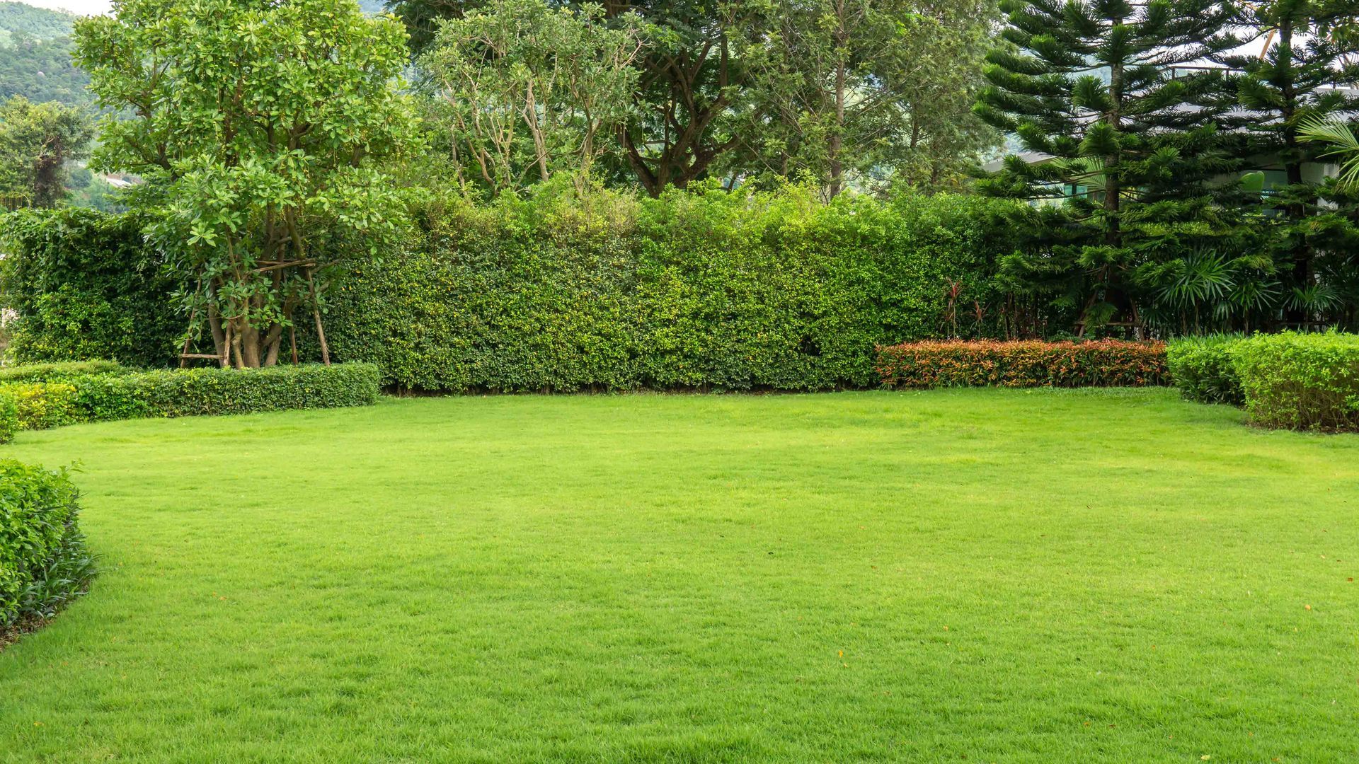 A lush, manicured green lawn framed by a tall hedge, assorted trees, and shrubs against a soft, hilly backdrop.