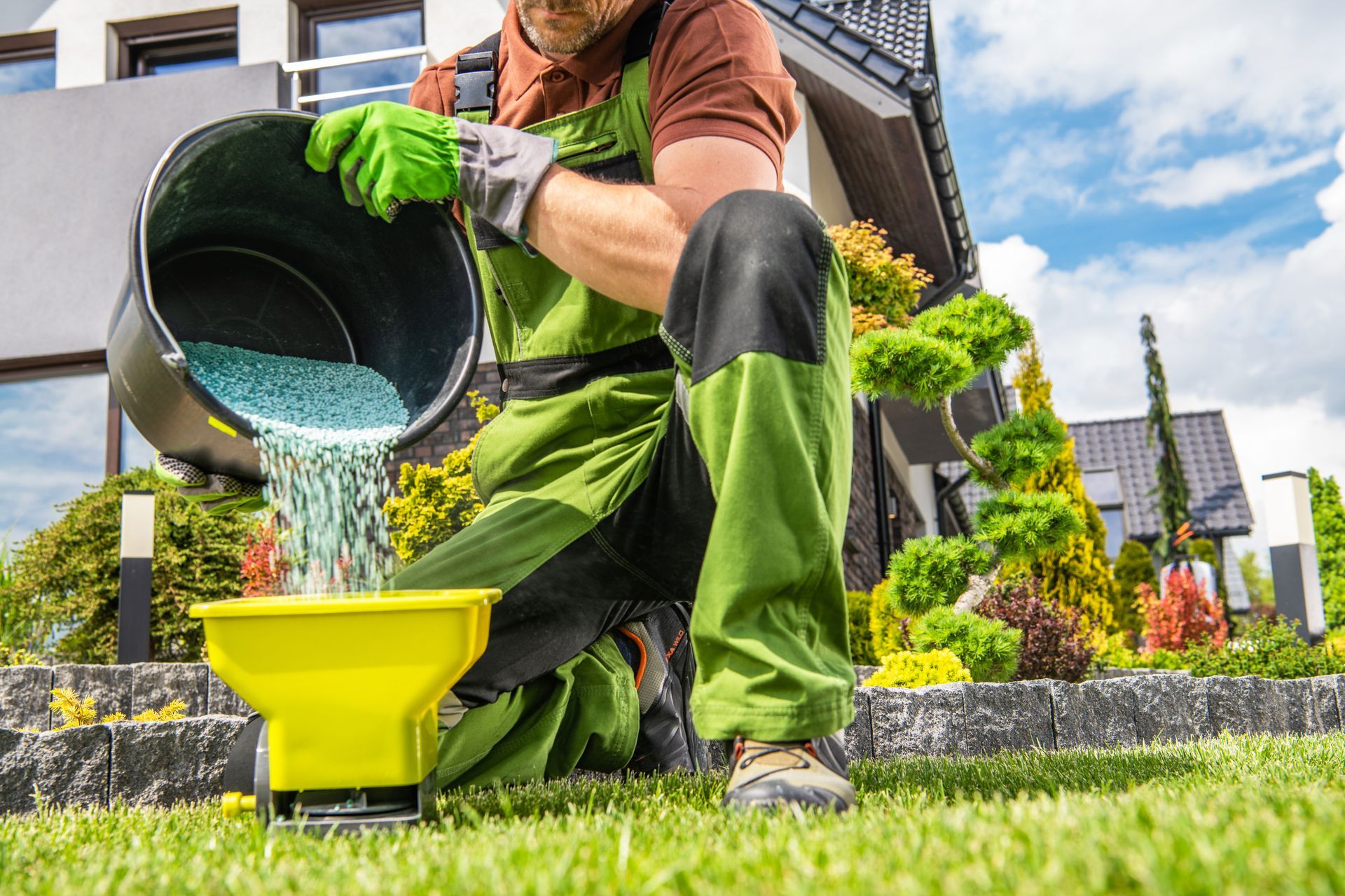 A gardener in green workwear pours blue fertilizer from a black bucket into a yellow spreader on a lawn near a house.