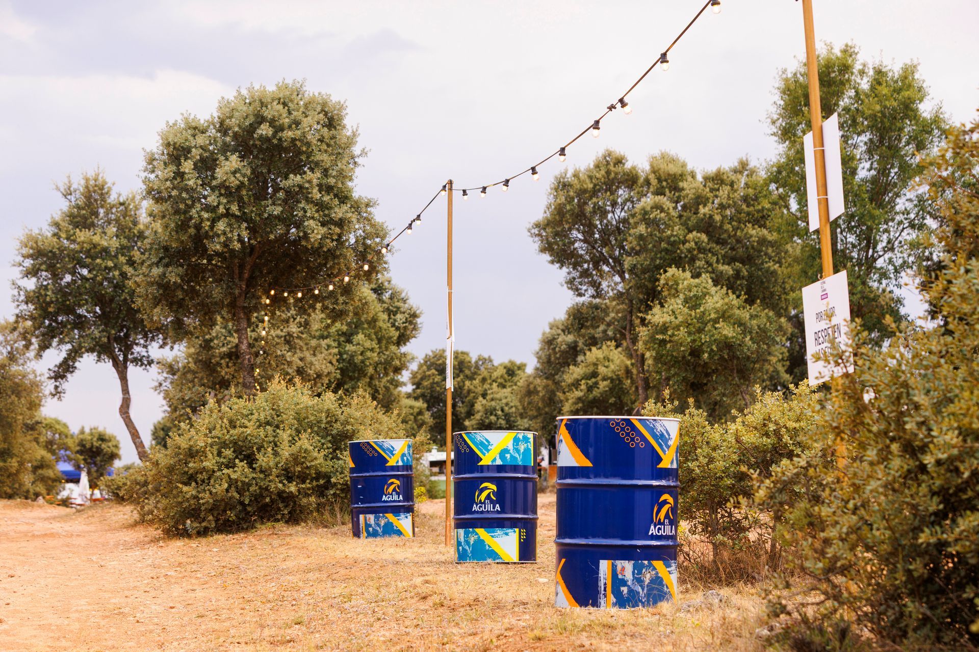 Barriles azules de El Águila entre árboles y guirnaldas de luces en el recinto del Festival de la Lavanda.