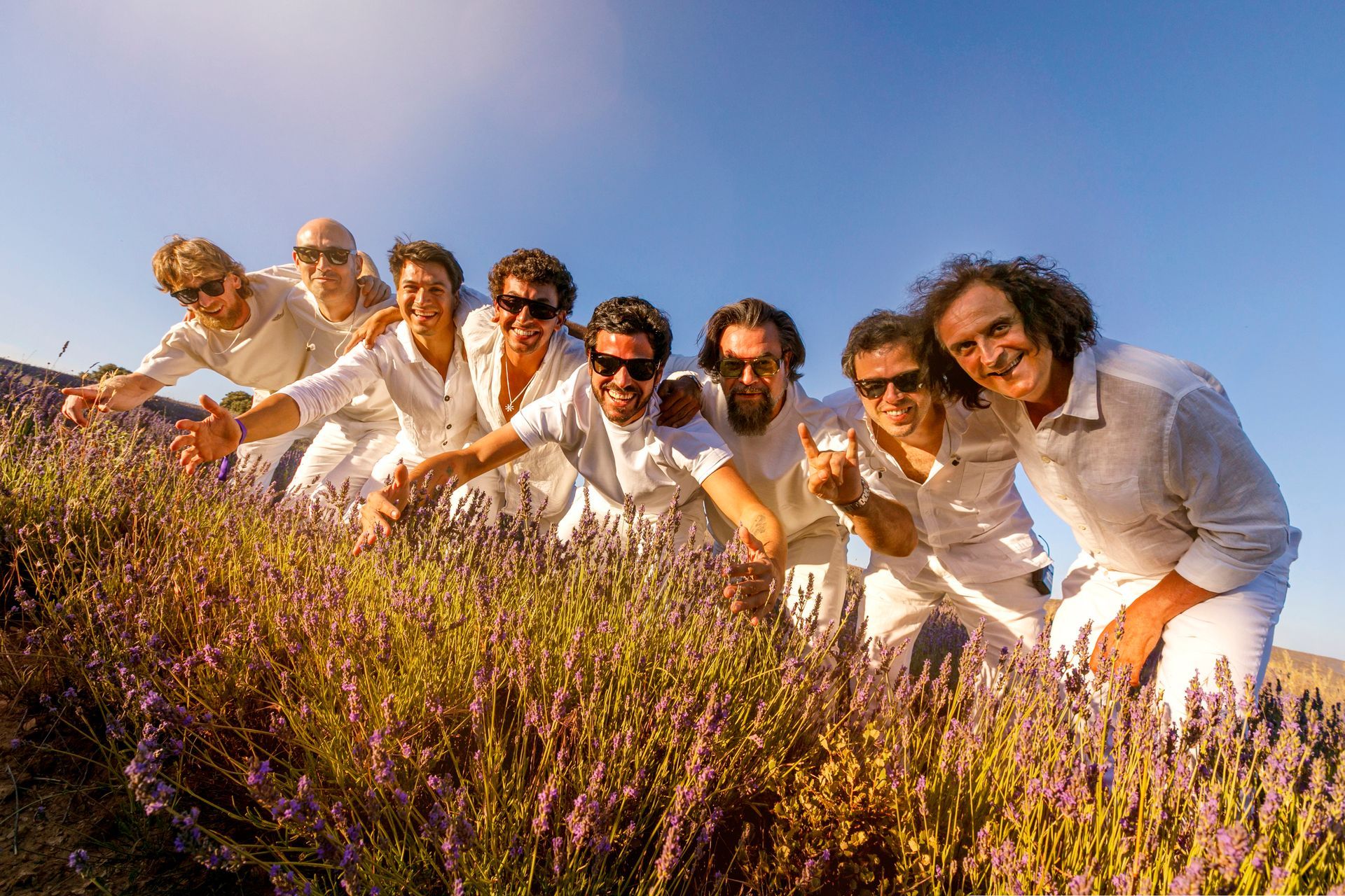 Taburete posa vestido de blanco entre los campos de lavanda de Brihuega durante el festival.