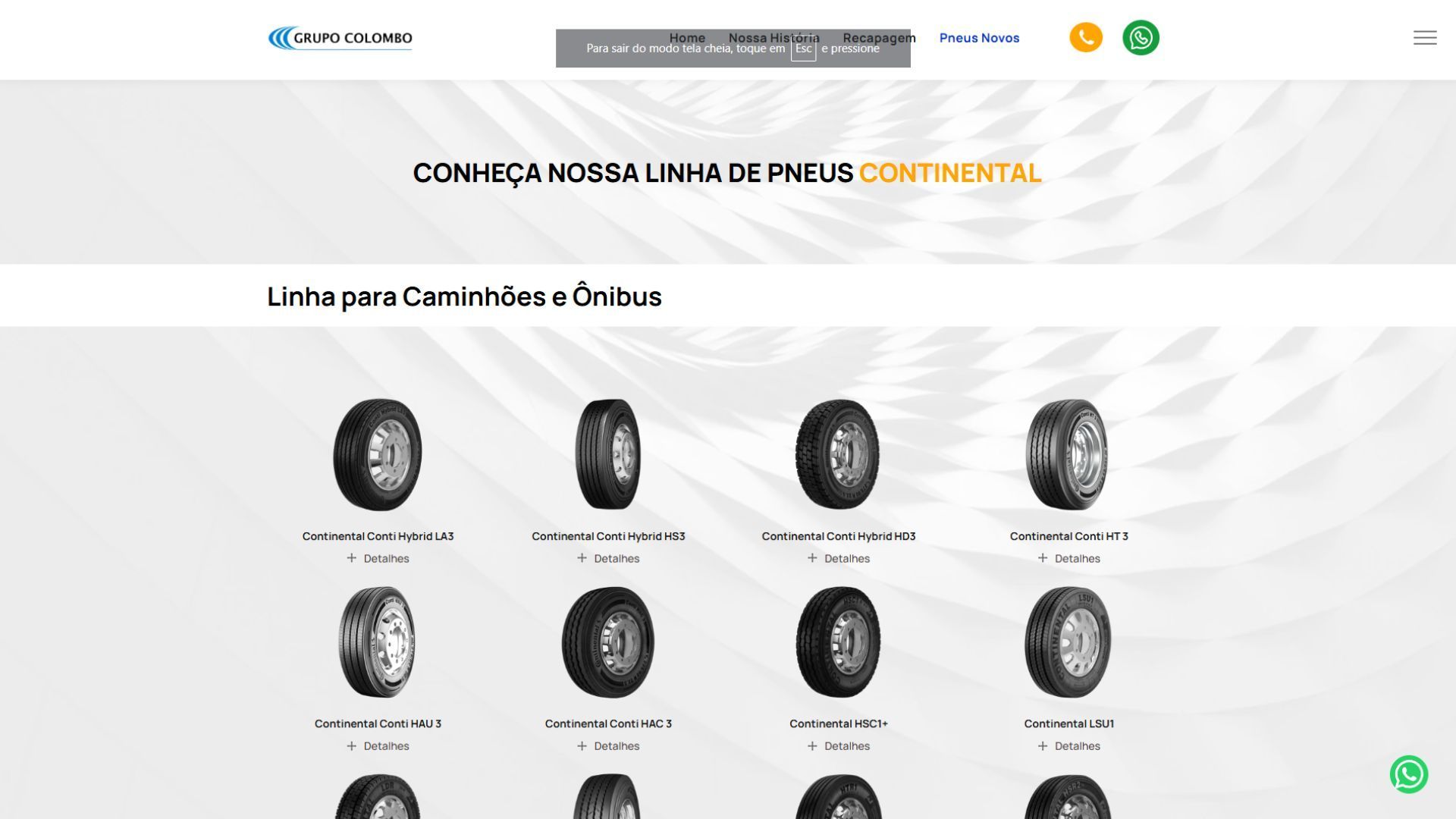 Página de um site que mostra produtos ovais pretos e prateados em uma grade, sob o título “Liny…”