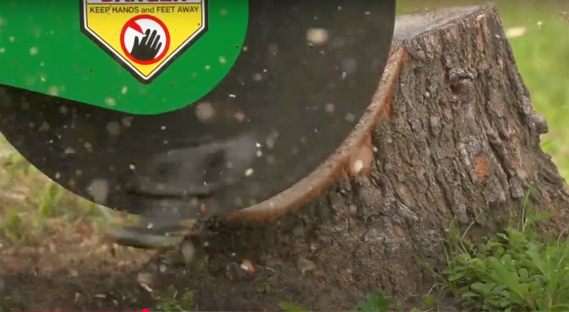 Power grinder removing tree stump