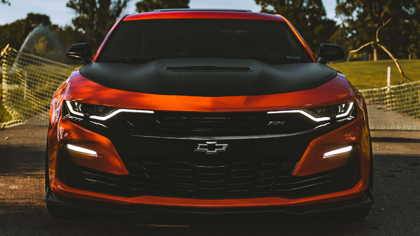 Domestic Vehicles