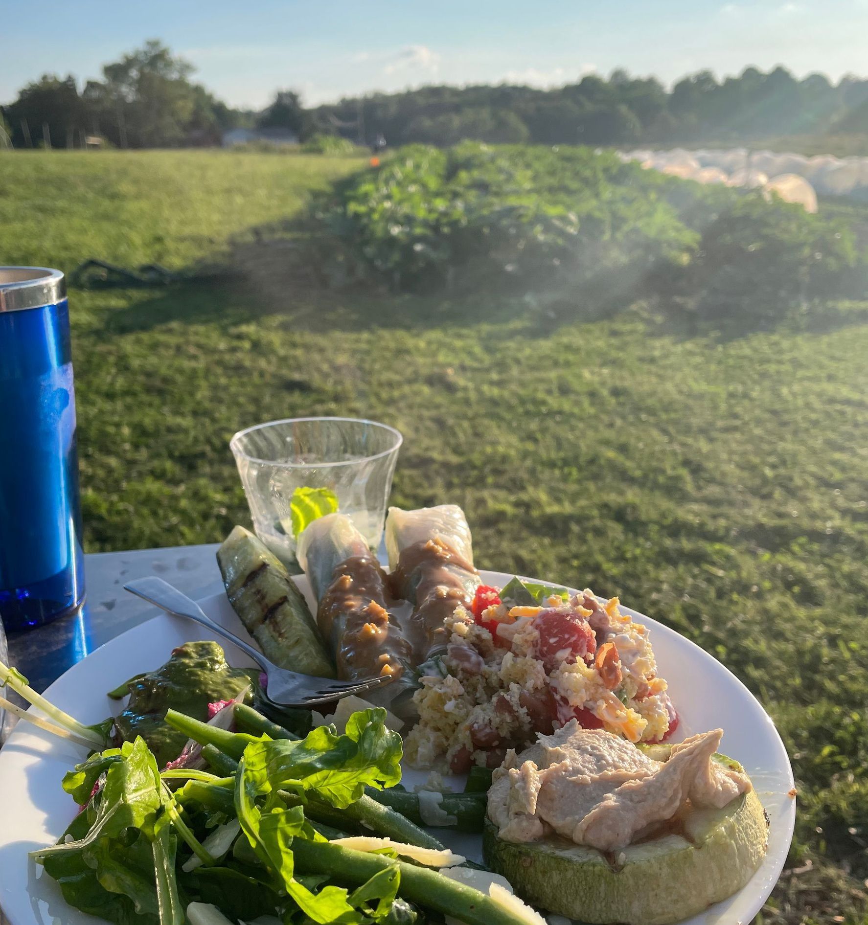 farm potluck plate 