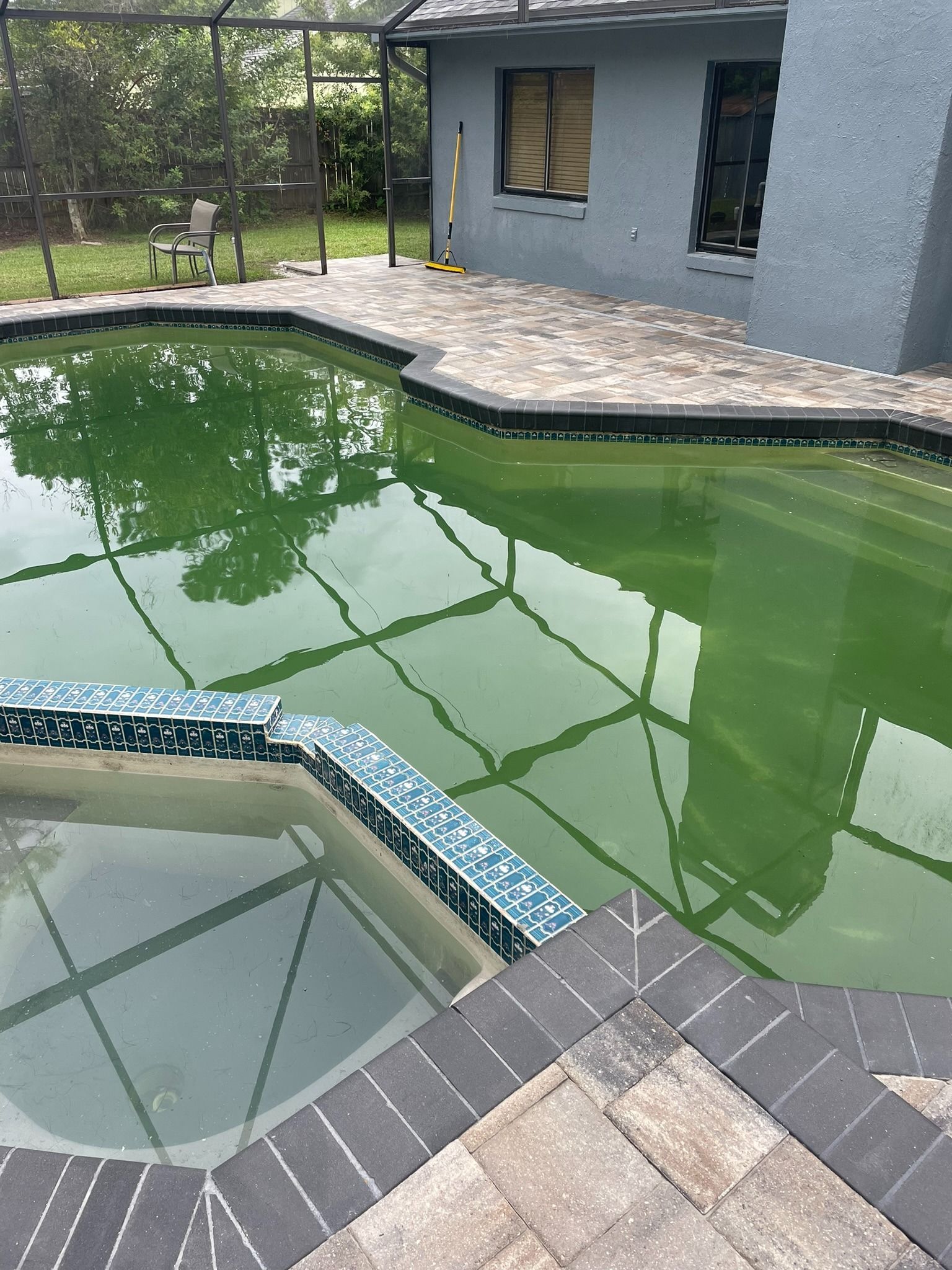 Backyard pool with green water, tiled spa, and gray house patio reflected in the surface