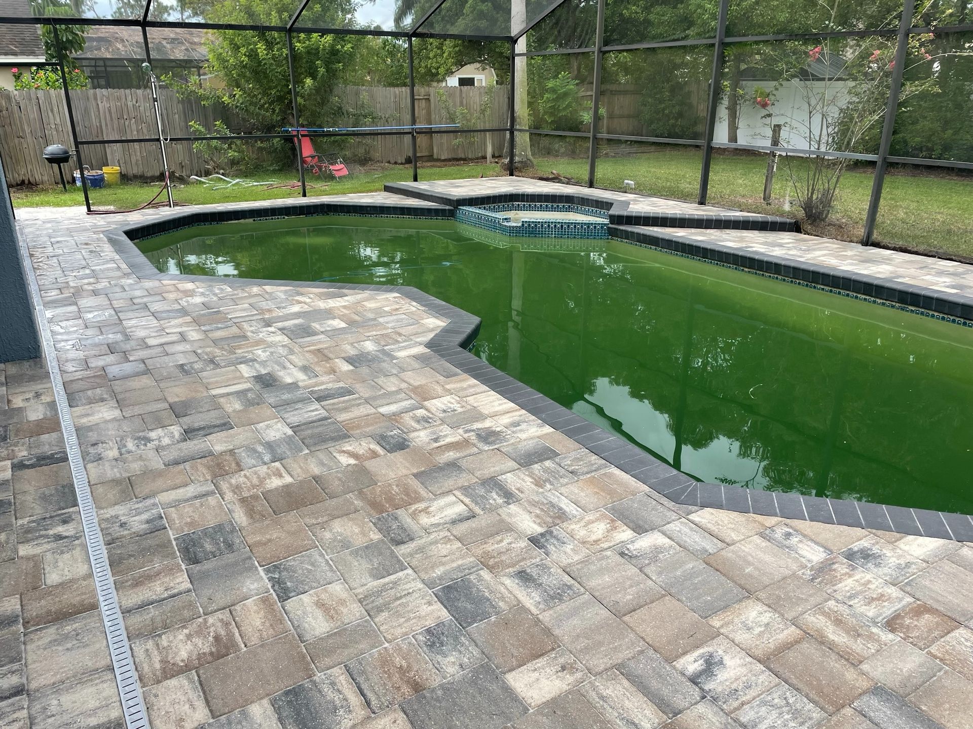 Backyard pool with green water, stone patio, and screened enclosure