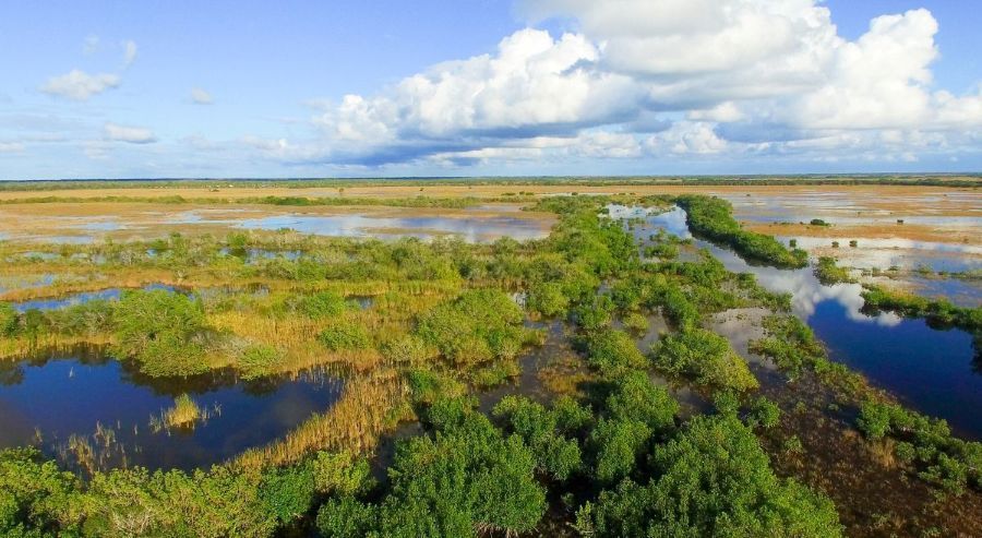 A view of the Everglades in Florida. 