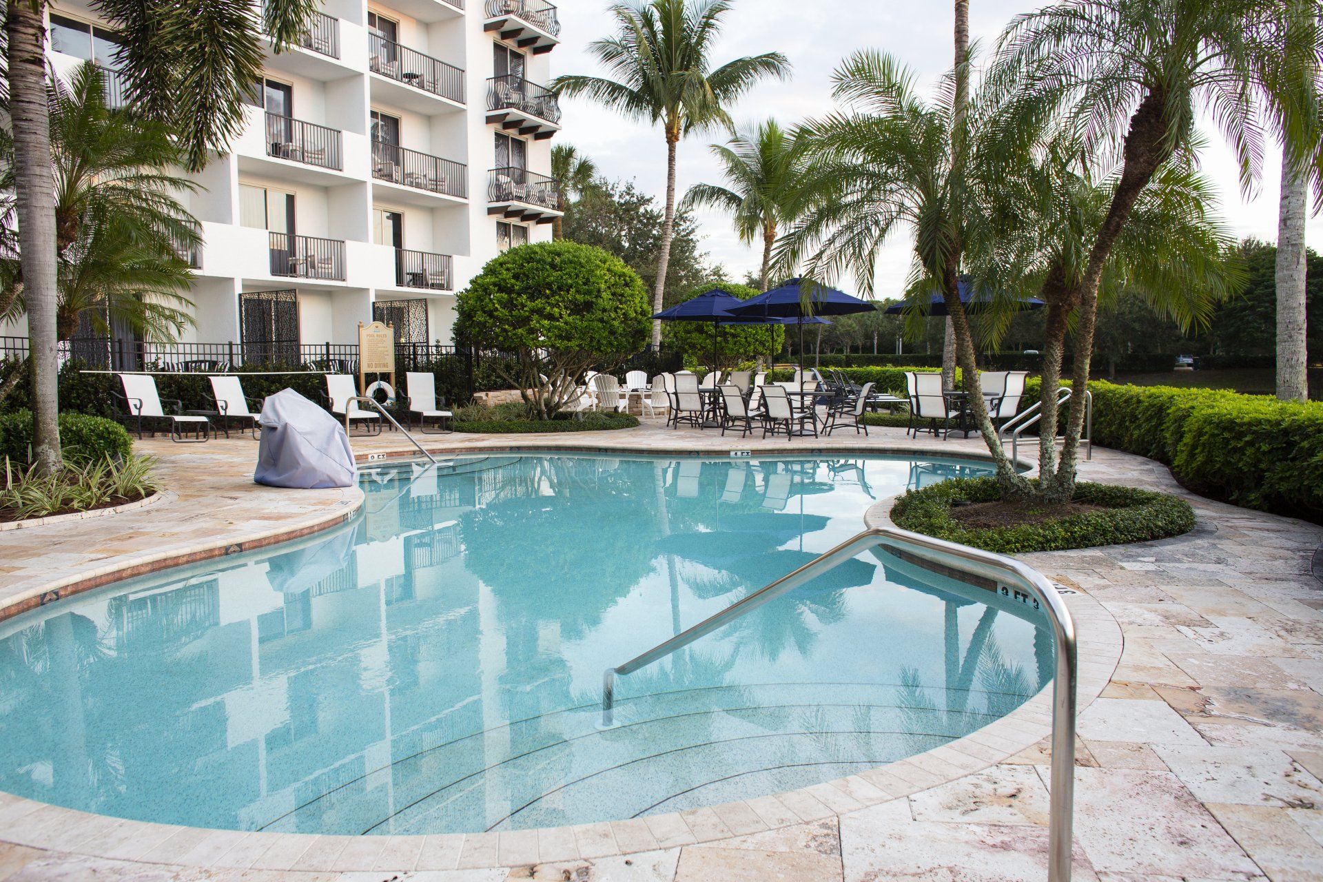 A large swimming pool surrounded by palm trees and chairs