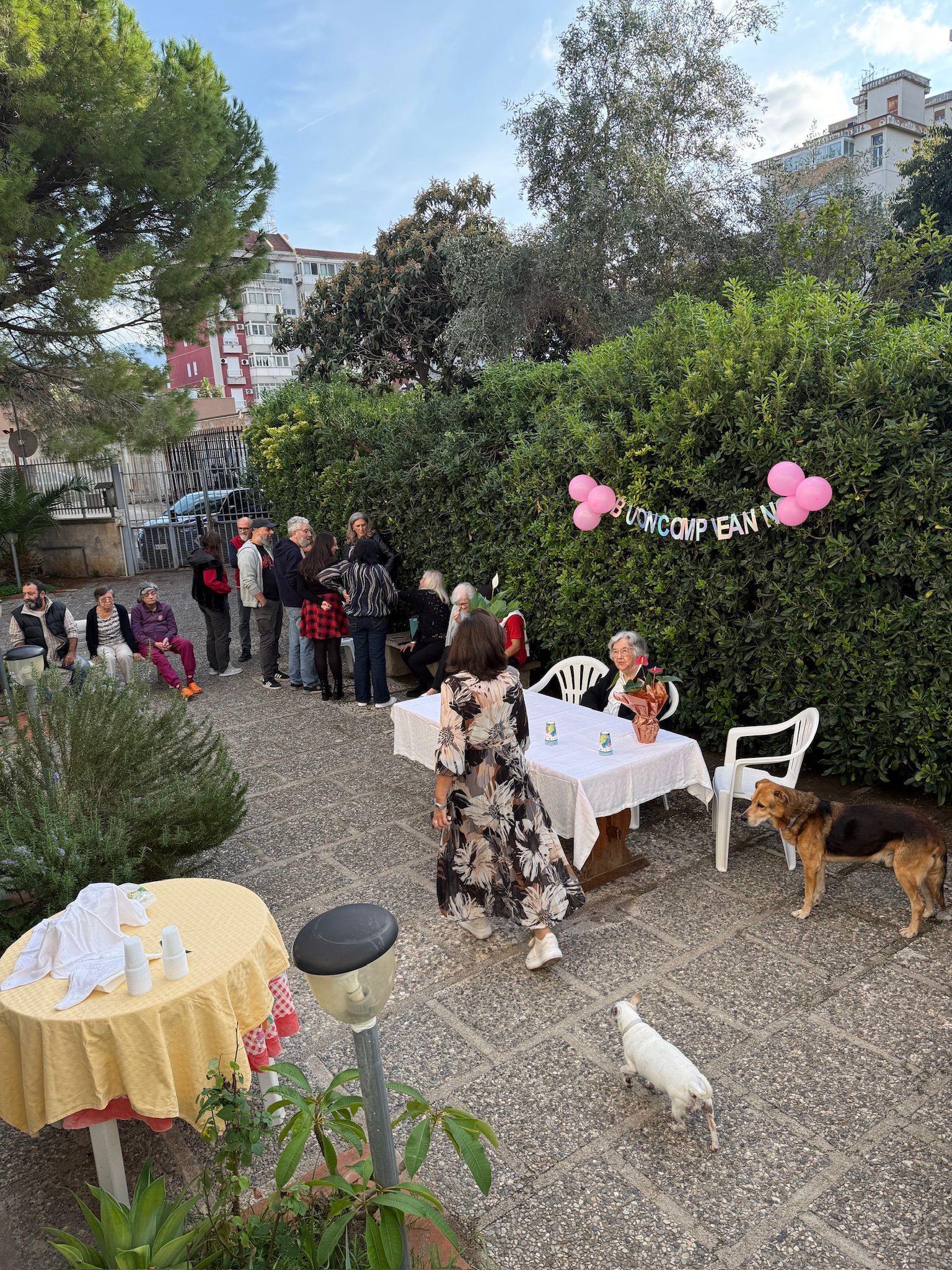 Festa in giardino all'aperto con tavolo decorato, invitati, palloncini e un cane su un sentiero di ghiaia.