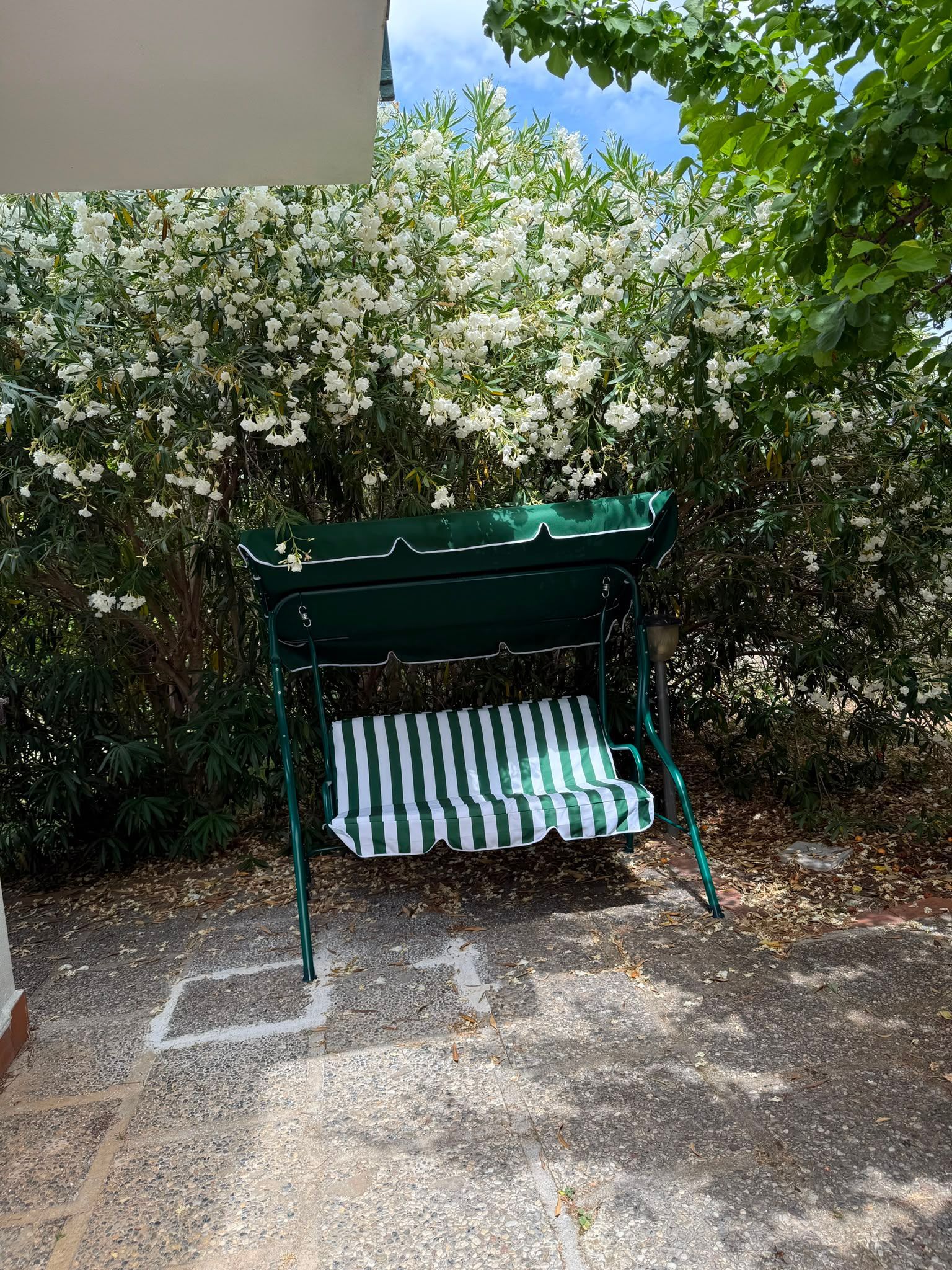 Altalena verde da portico sotto cespugli di fiori bianchi in un giardino soleggiato