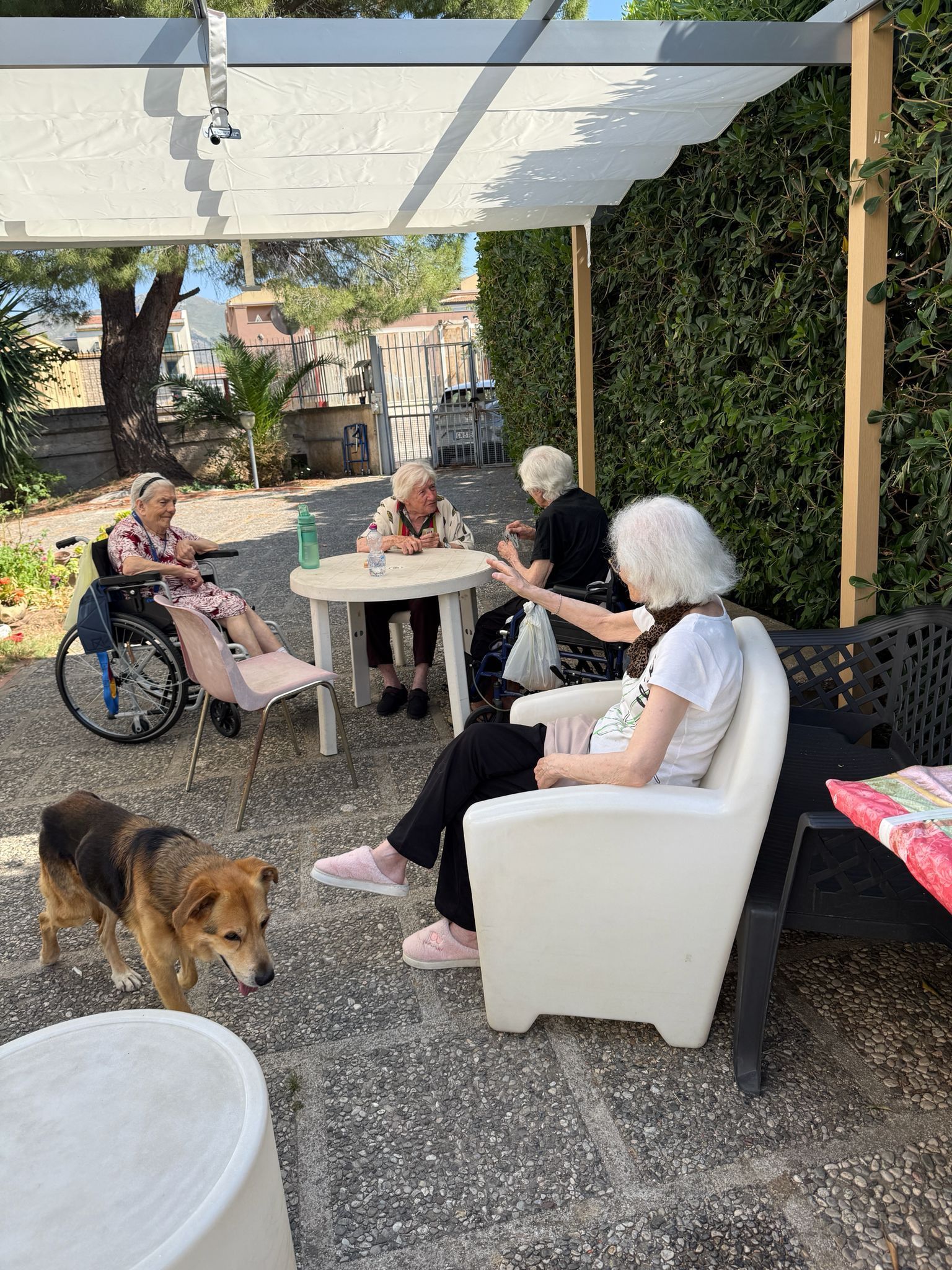 Persone che si rilassano in un patio ombreggiato in giardino, con un tavolo e sedie bianche, un cane nelle vicinanze e una siepe sullo sfondo.