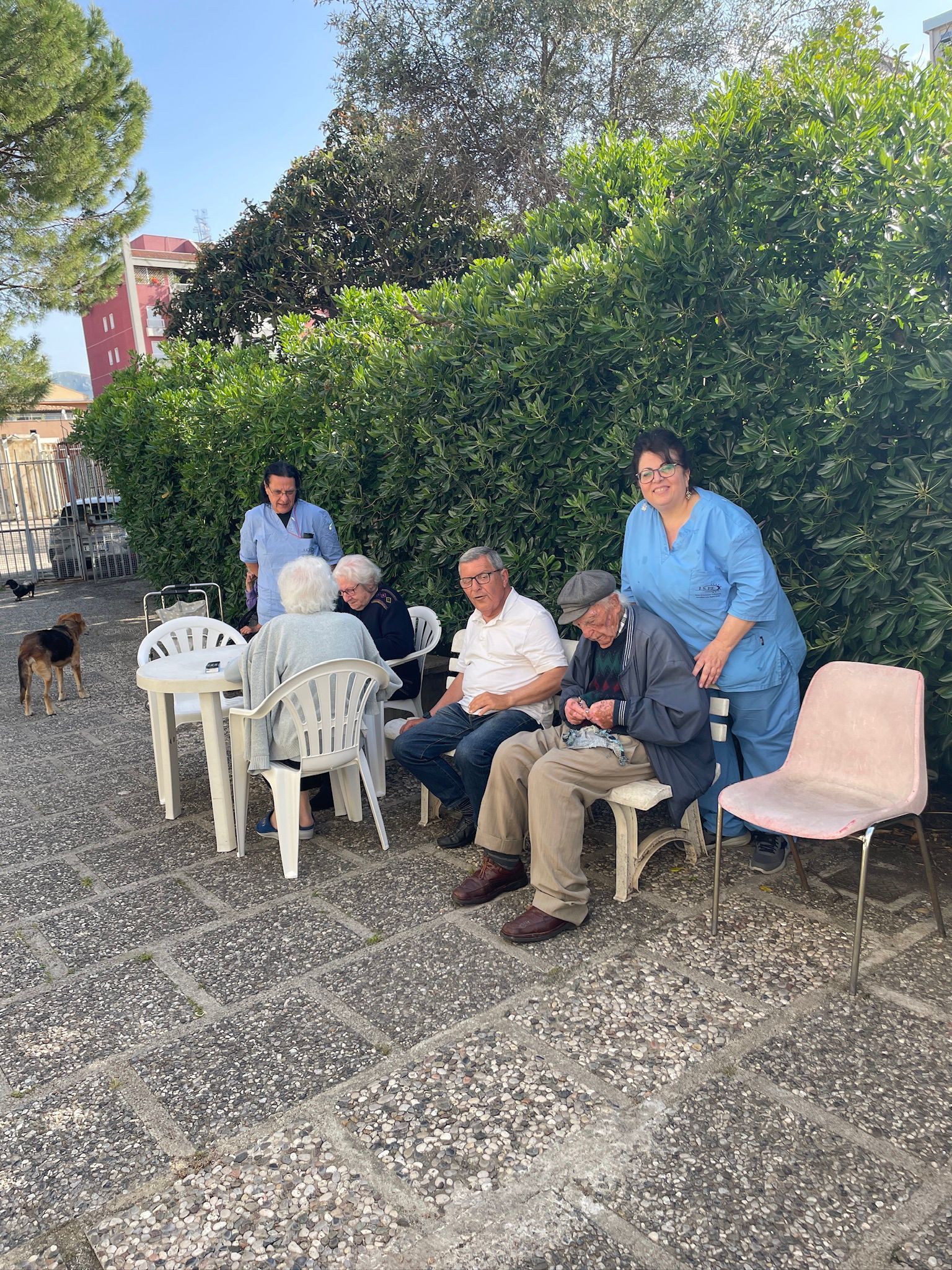 Persone sedute all'aperto su sedie di plastica sotto gli alberi in un cortile di ghiaia.