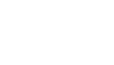 A white background with a few lines on it