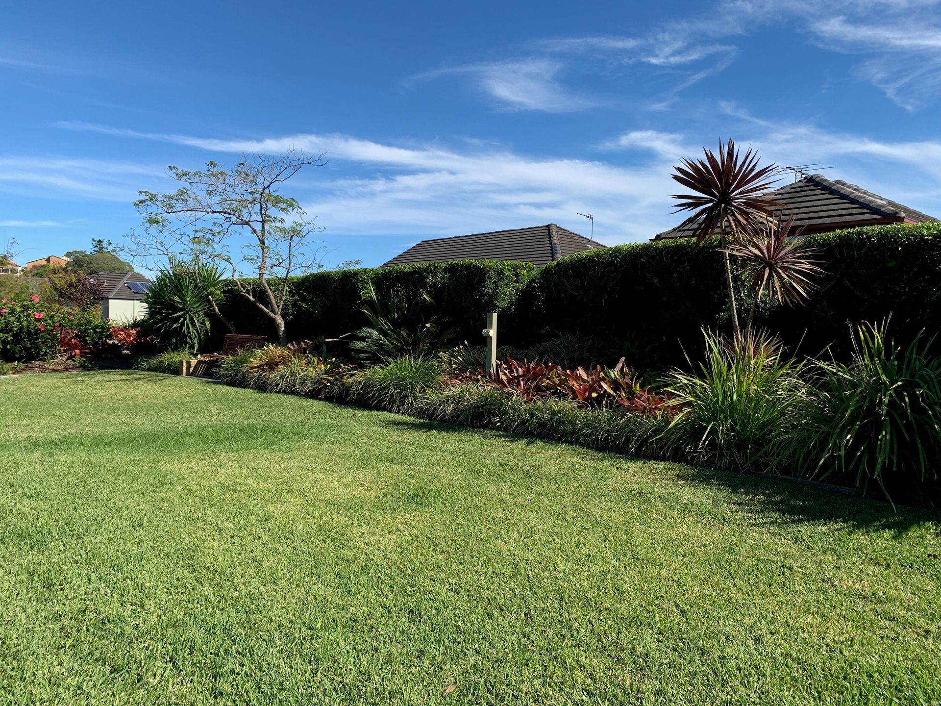 grass field