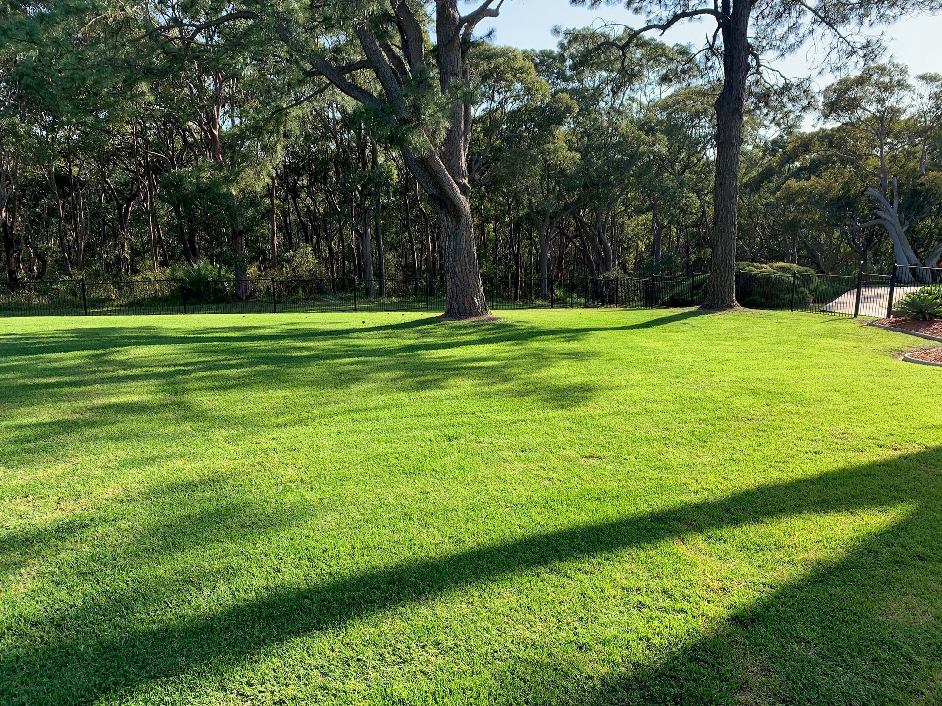 green field