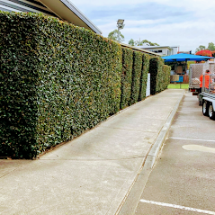 A truck is parked in a parking lot next to a hedge