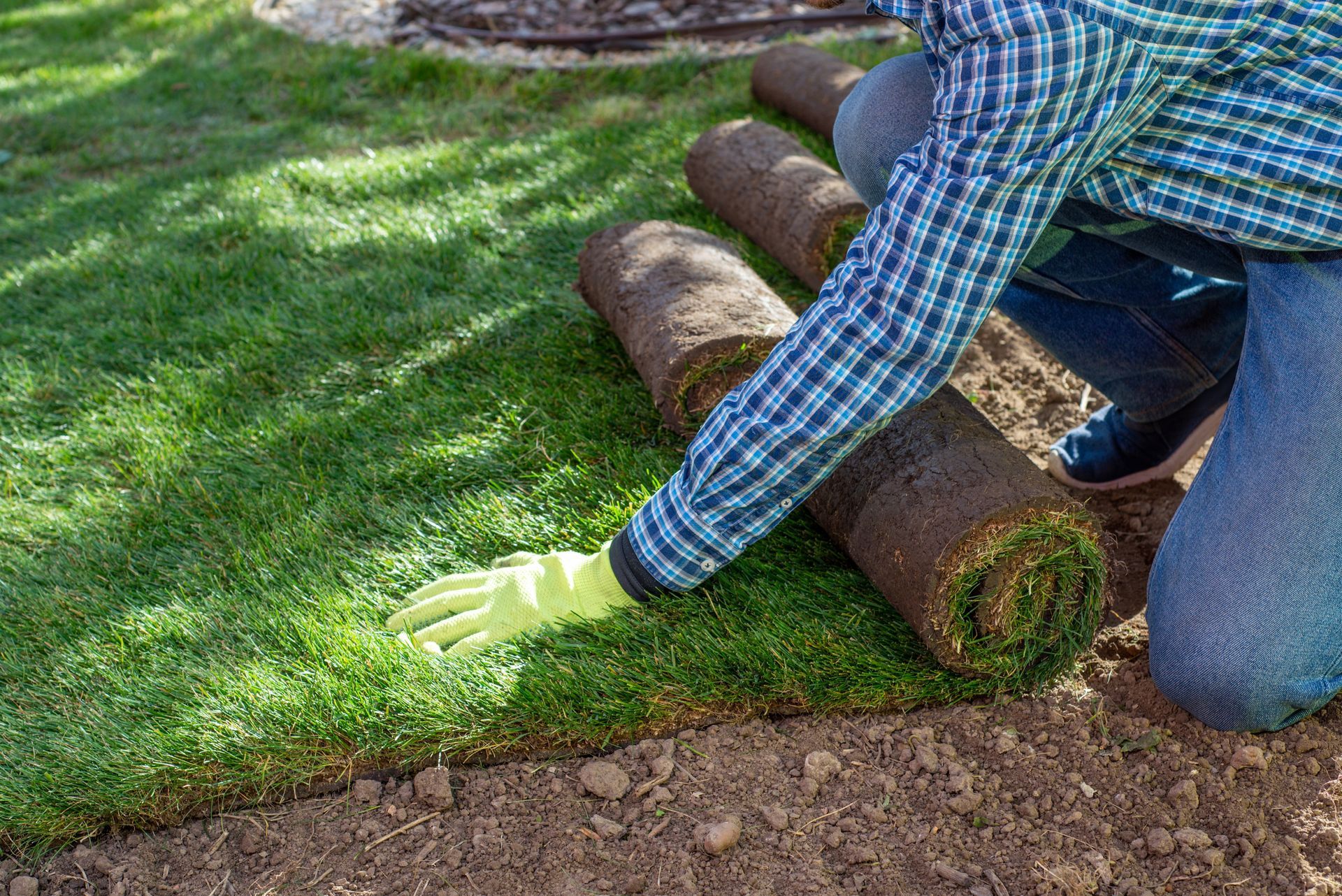 Person laying sod rolls over a grassy lawn with gloved hands outdoors.