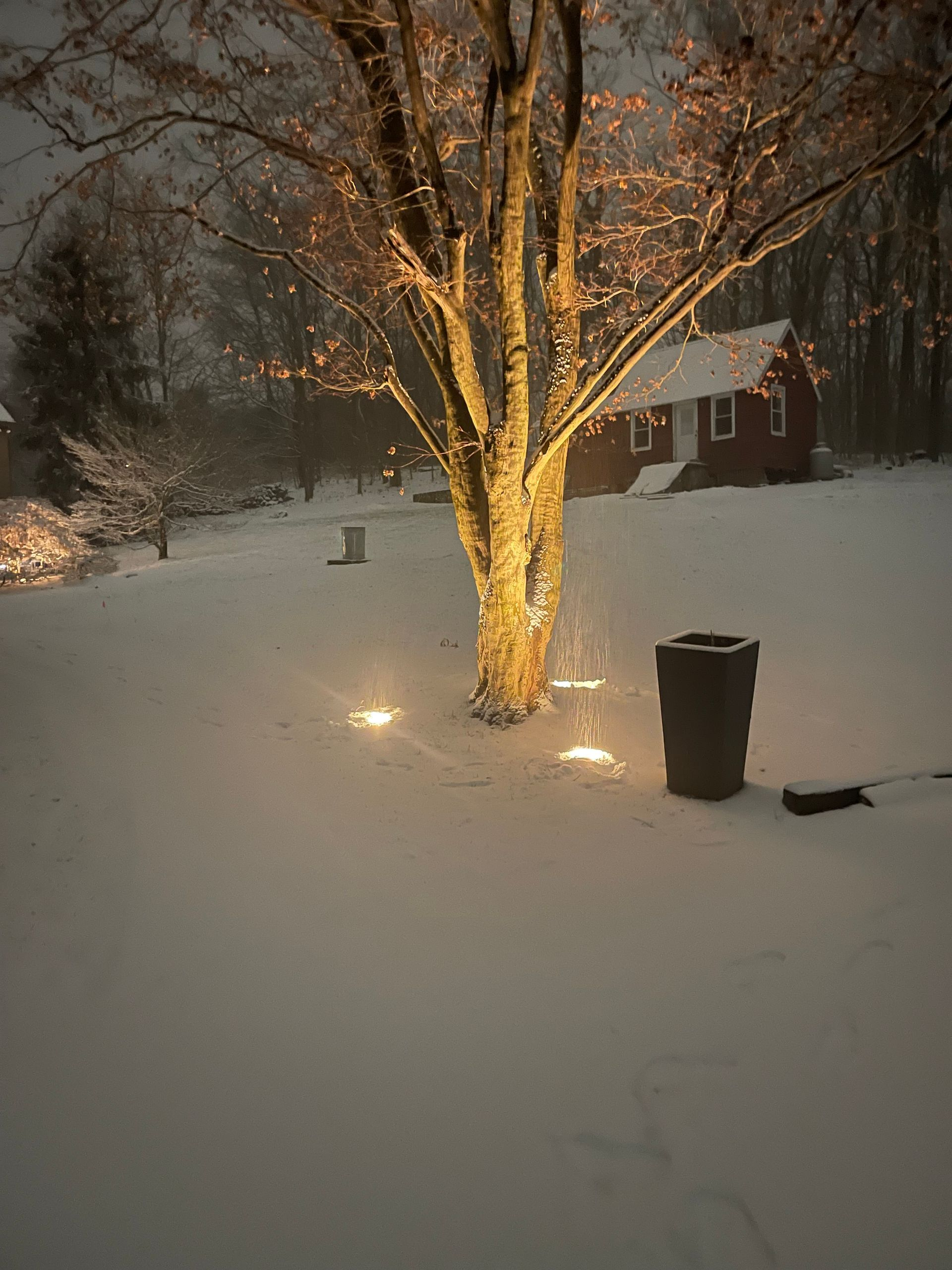 Snow-covered yard at night with a lit tree, trash bin, and house in the background.