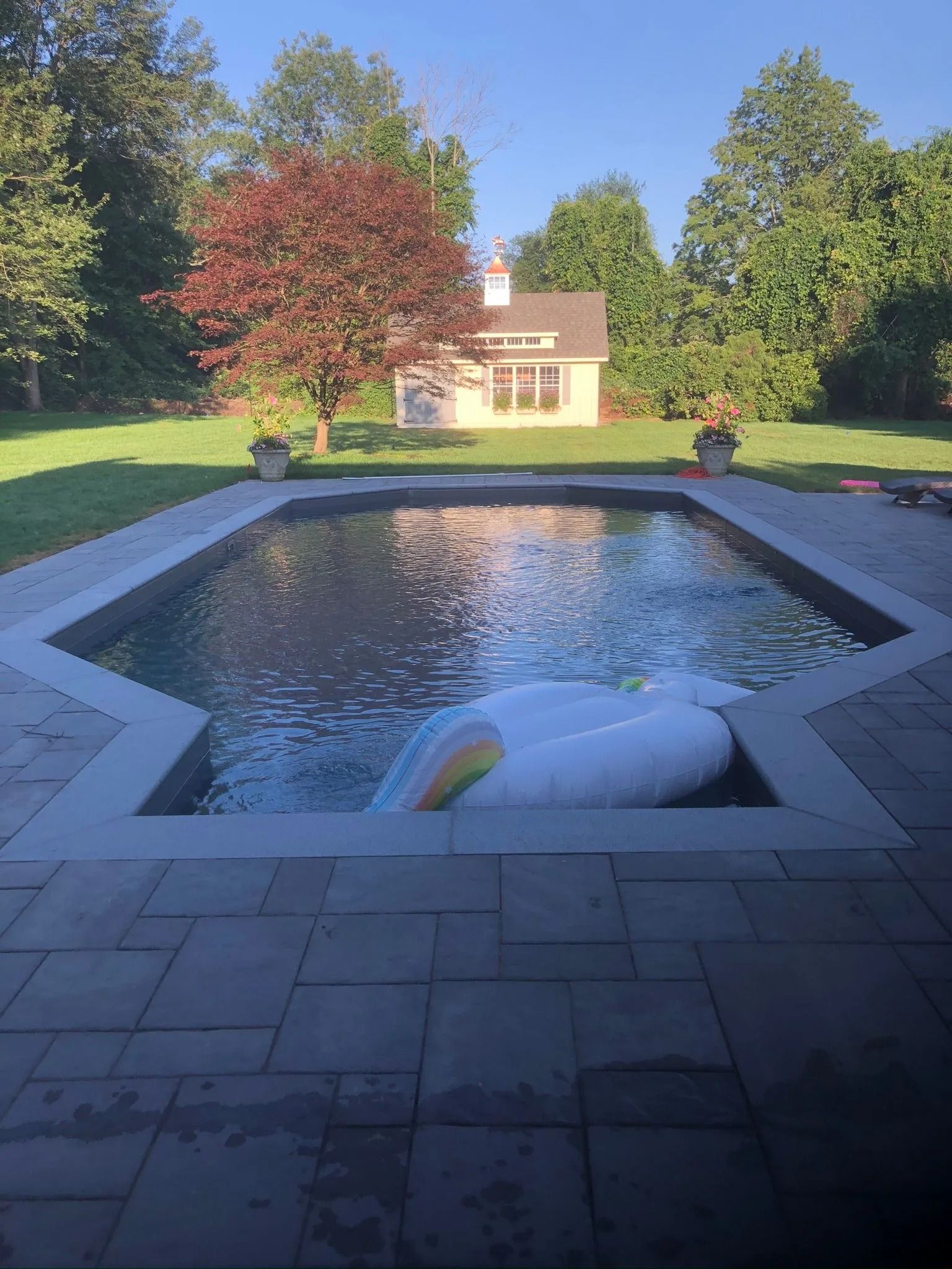 Backyard patio with a rectangular pool, lounge chair, and house beyond green trees.