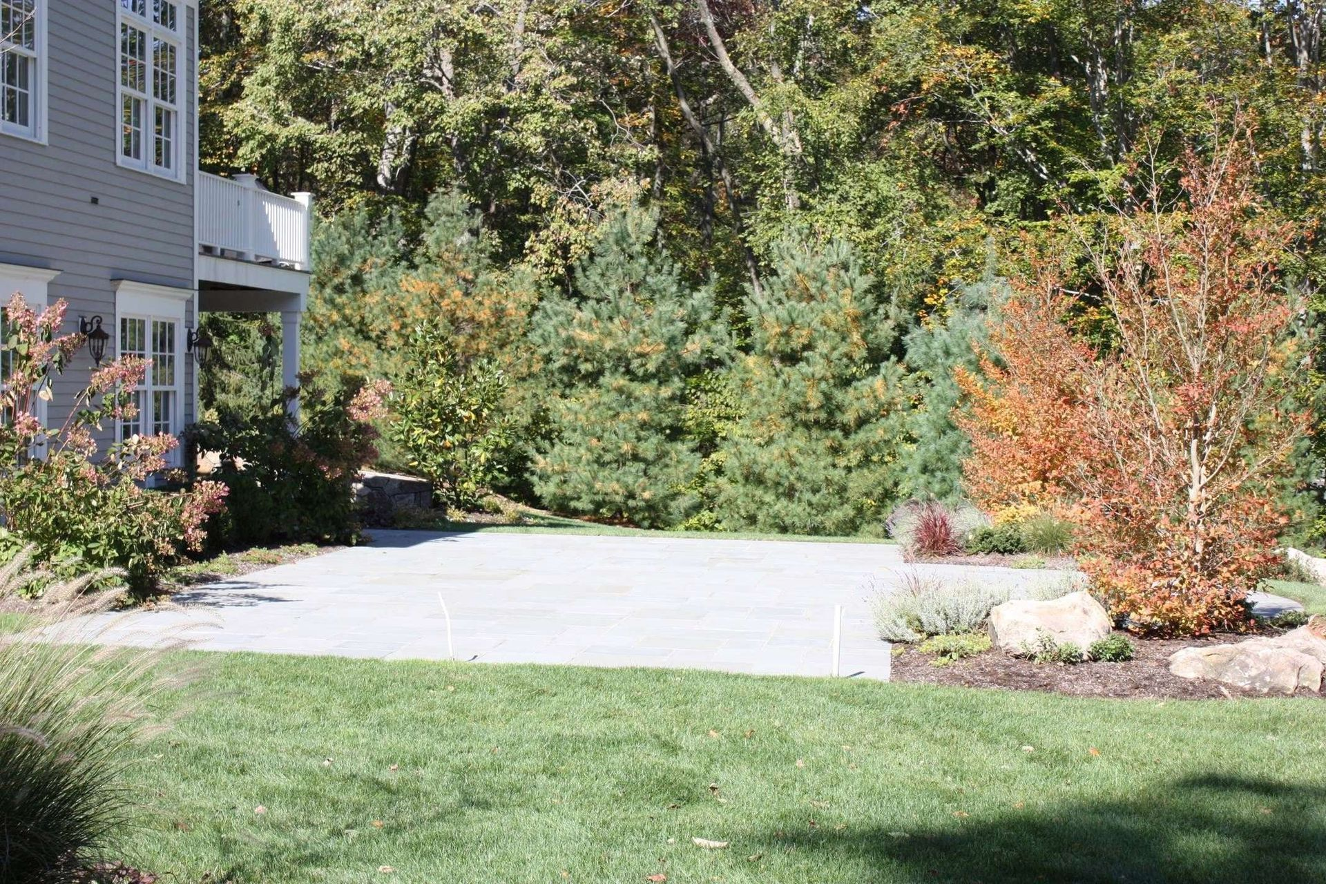 House driveway and landscaped yard with green lawn, trees, and flowering shrubs in bright sunlight