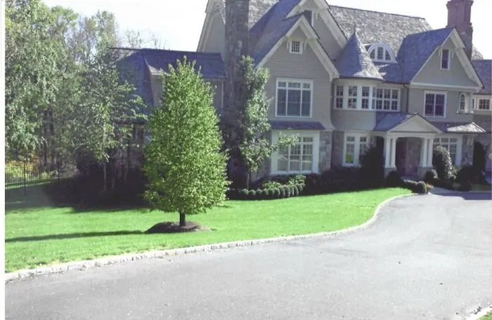 Large gray house with a manicured lawn, trees, and a curved driveway in bright sunlight