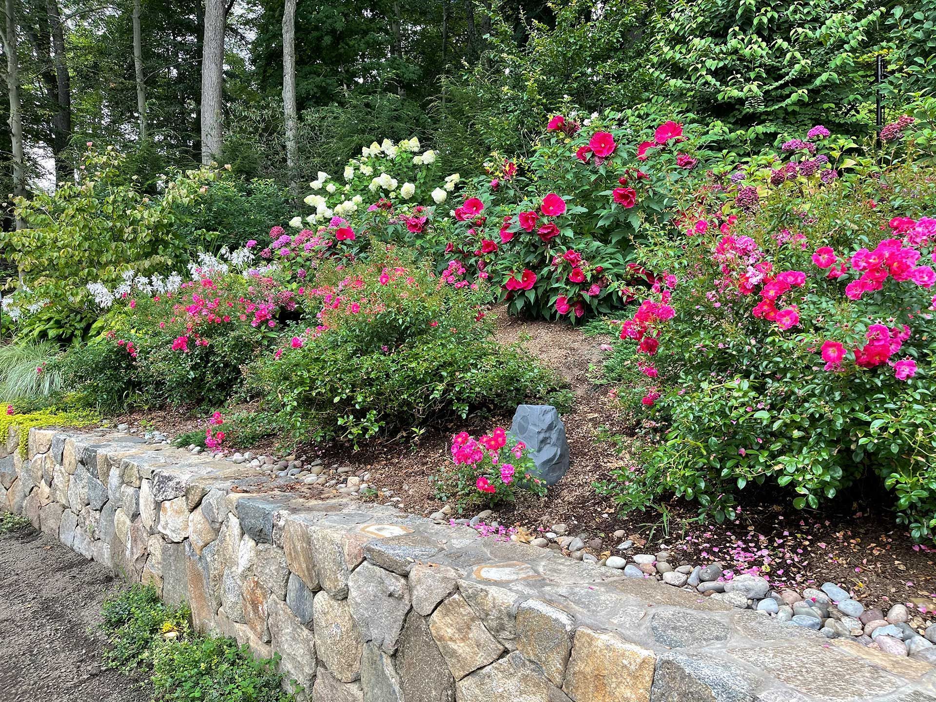 Stone retaining wall with blooming pink and white flowers along a wooded garden path
