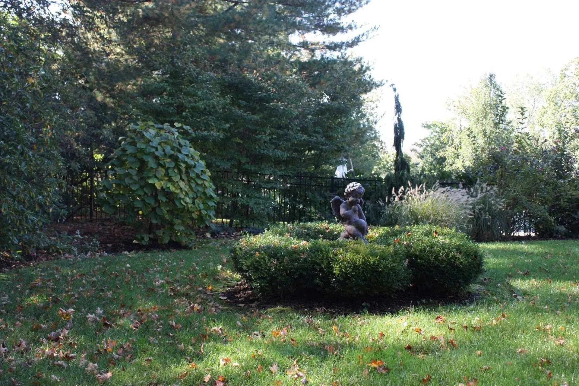 Person sitting behind a trimmed shrub in a sunny garden with trees and grass