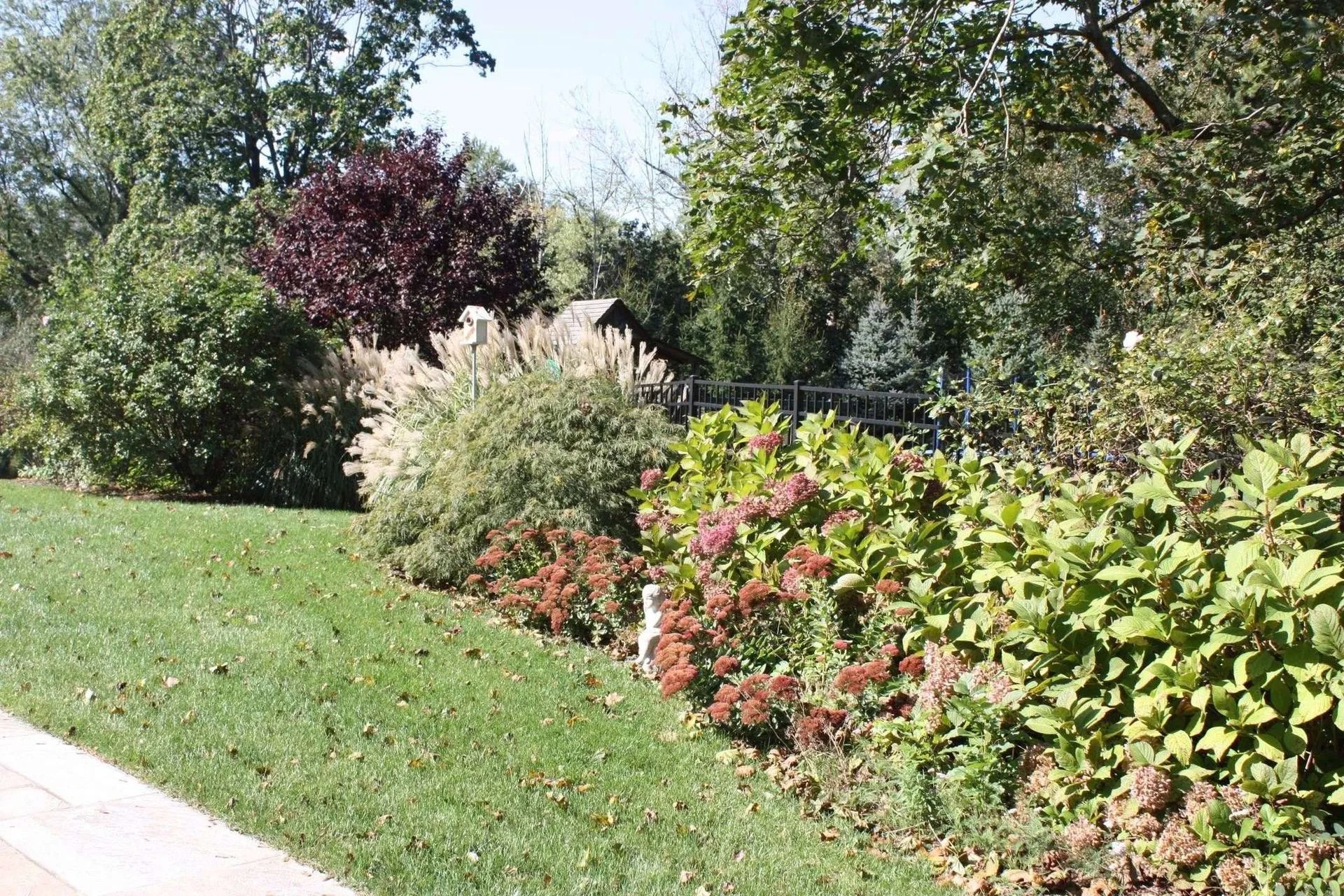 Sunny garden with green shrubs, red bushes, and trees beside a sidewalk