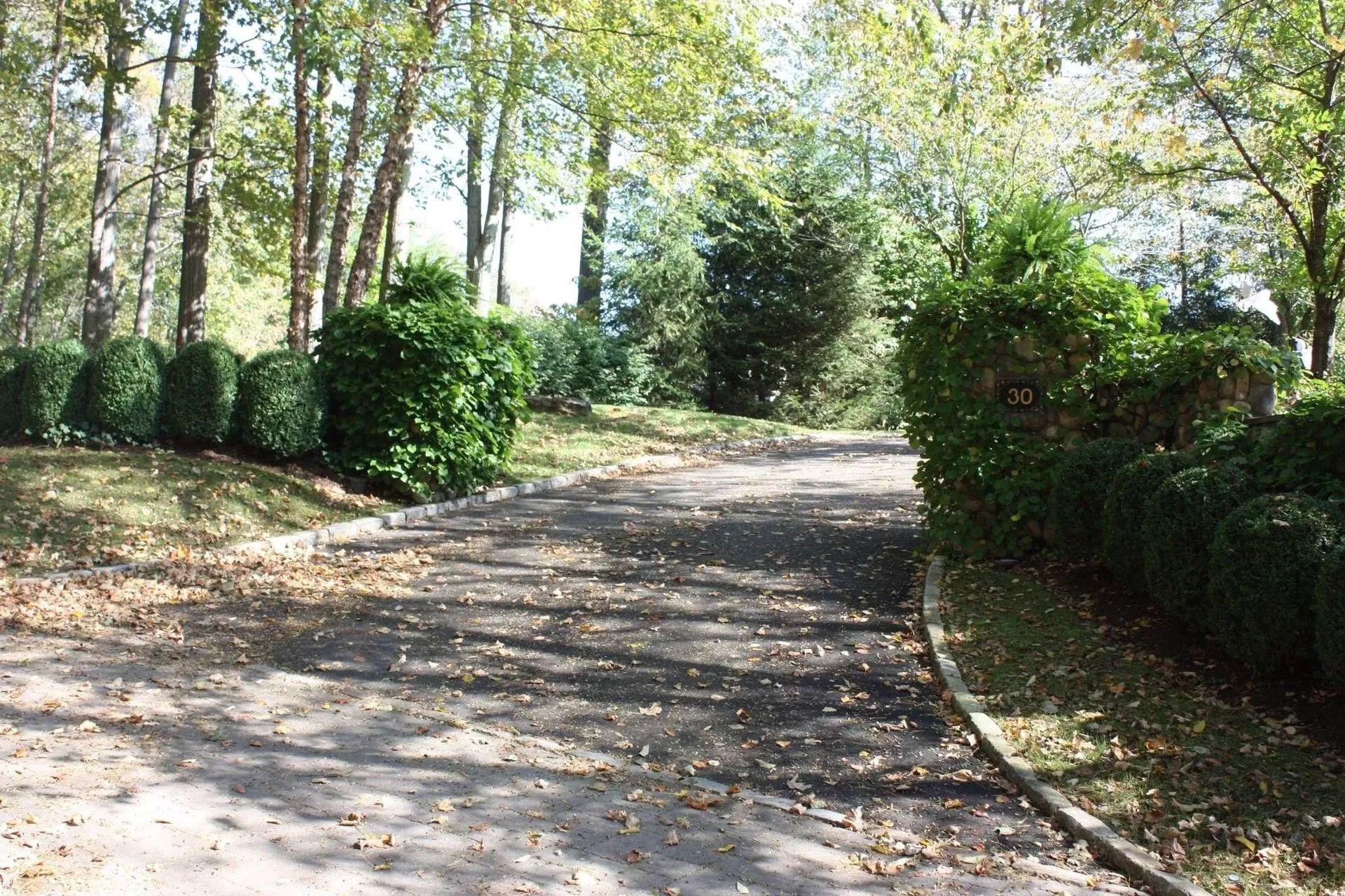 Sunlit gravel path through trees and hedges in a quiet garden park