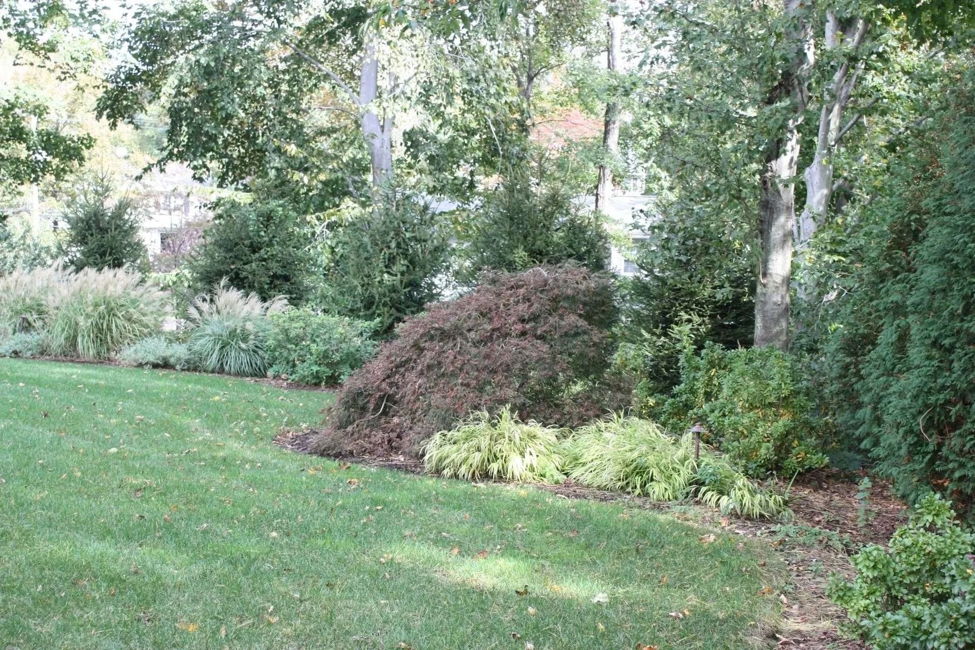Lush garden with green lawn, flowering shrubs, and tall trees under soft daylight