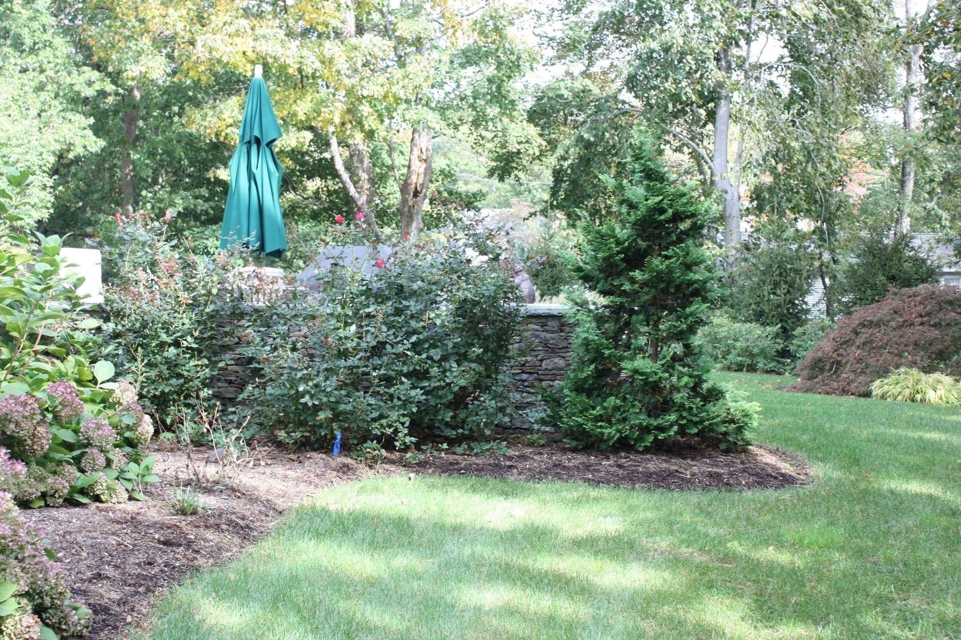 Lush garden with shrubs, trees, and a closed green patio umbrella on a sunny lawn
