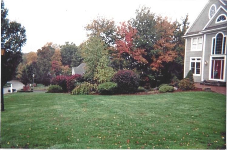 Suburban front yard with green lawn, colorful autumn trees, and a house porch on the right.