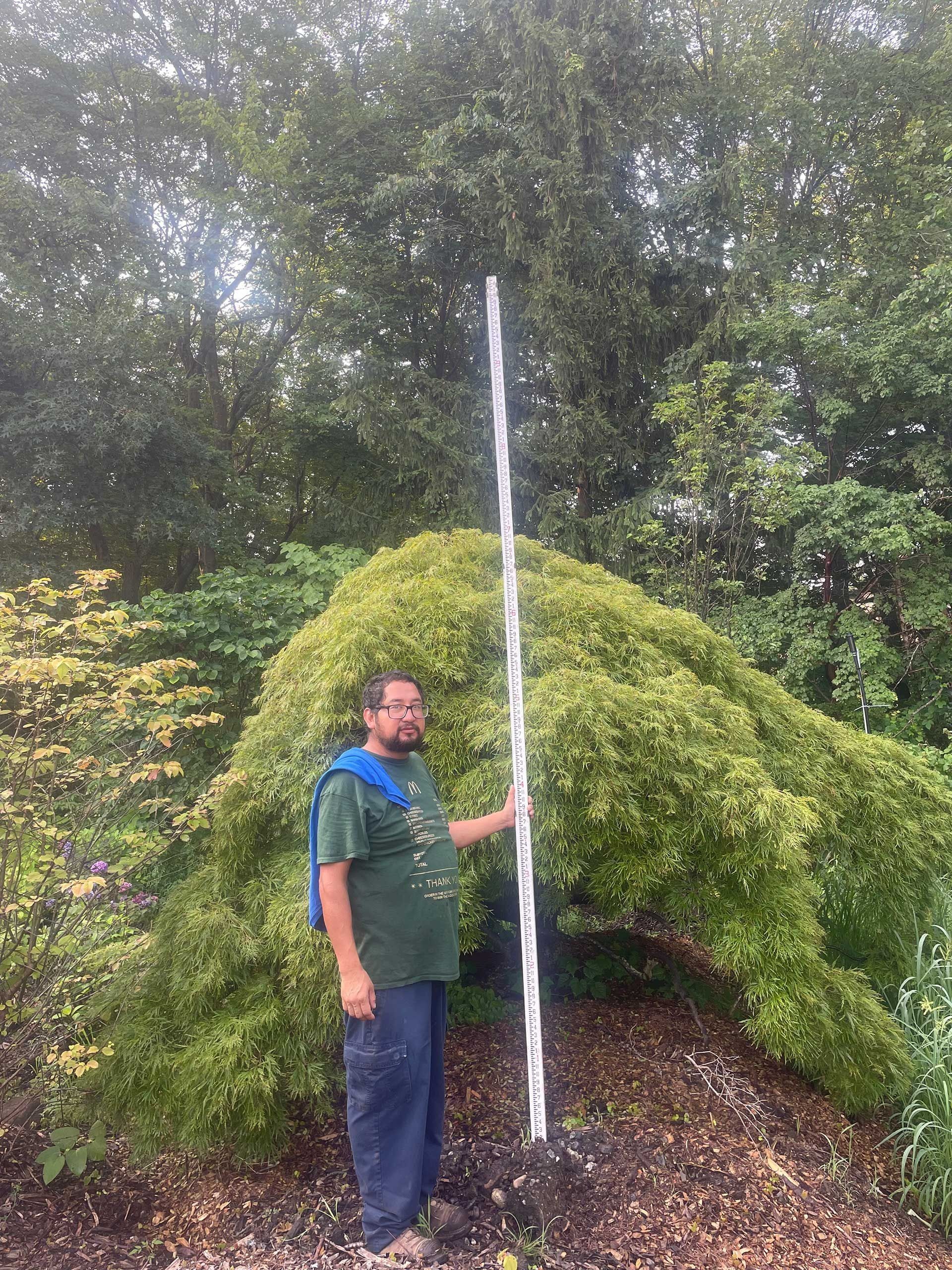 Person standing beside a tall fountain jet in a leafy garden.