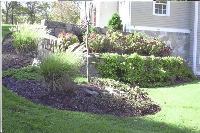 Landscaped garden bed with shrubs, mulch, and a neatly mowed lawn beside a house
