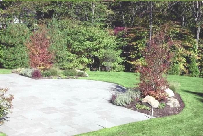 Curved concrete driveway beside green lawn and landscaped trees and shrubs