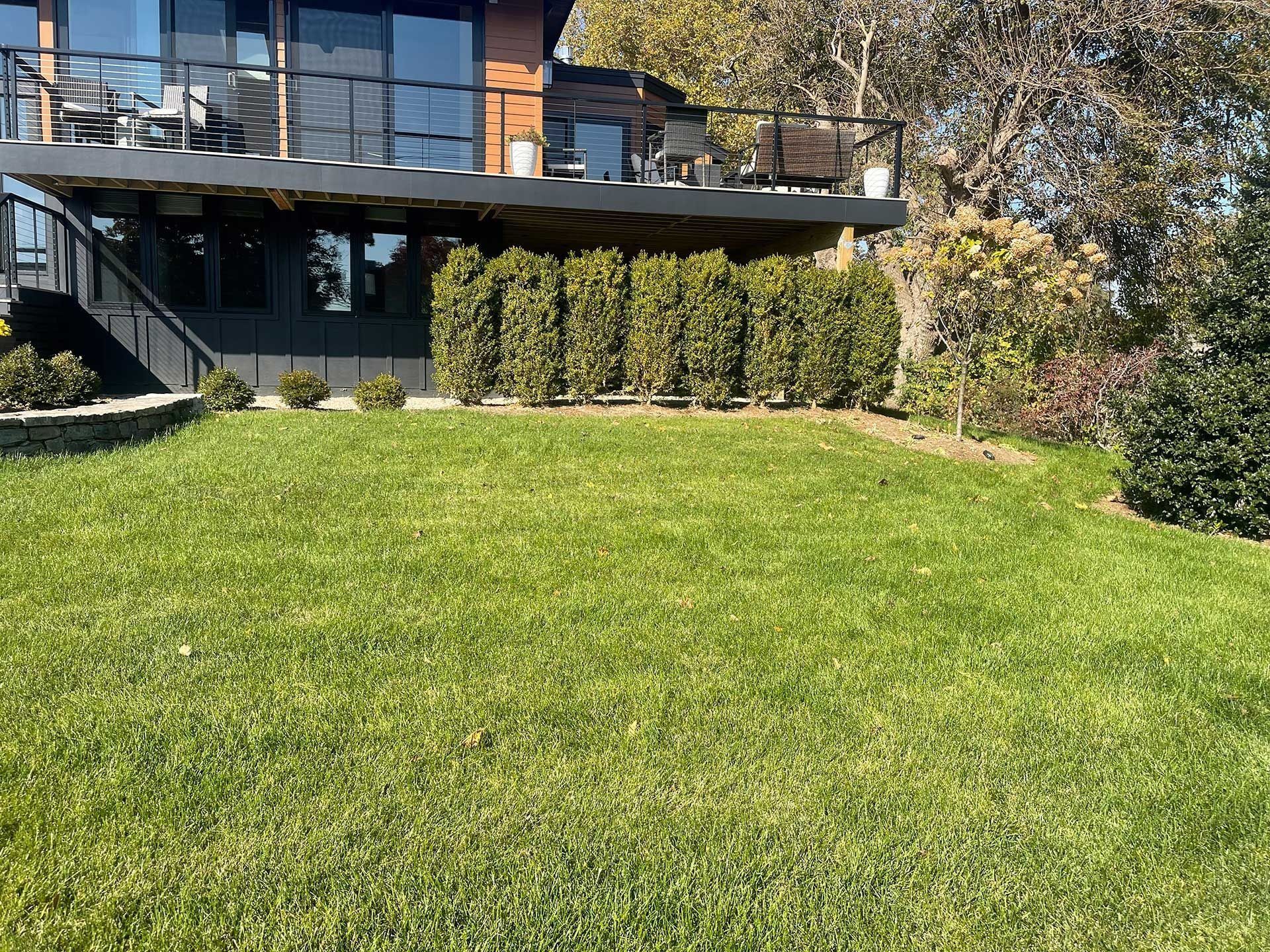 Modern house with large green lawn, black deck, and tall shrubs in front.