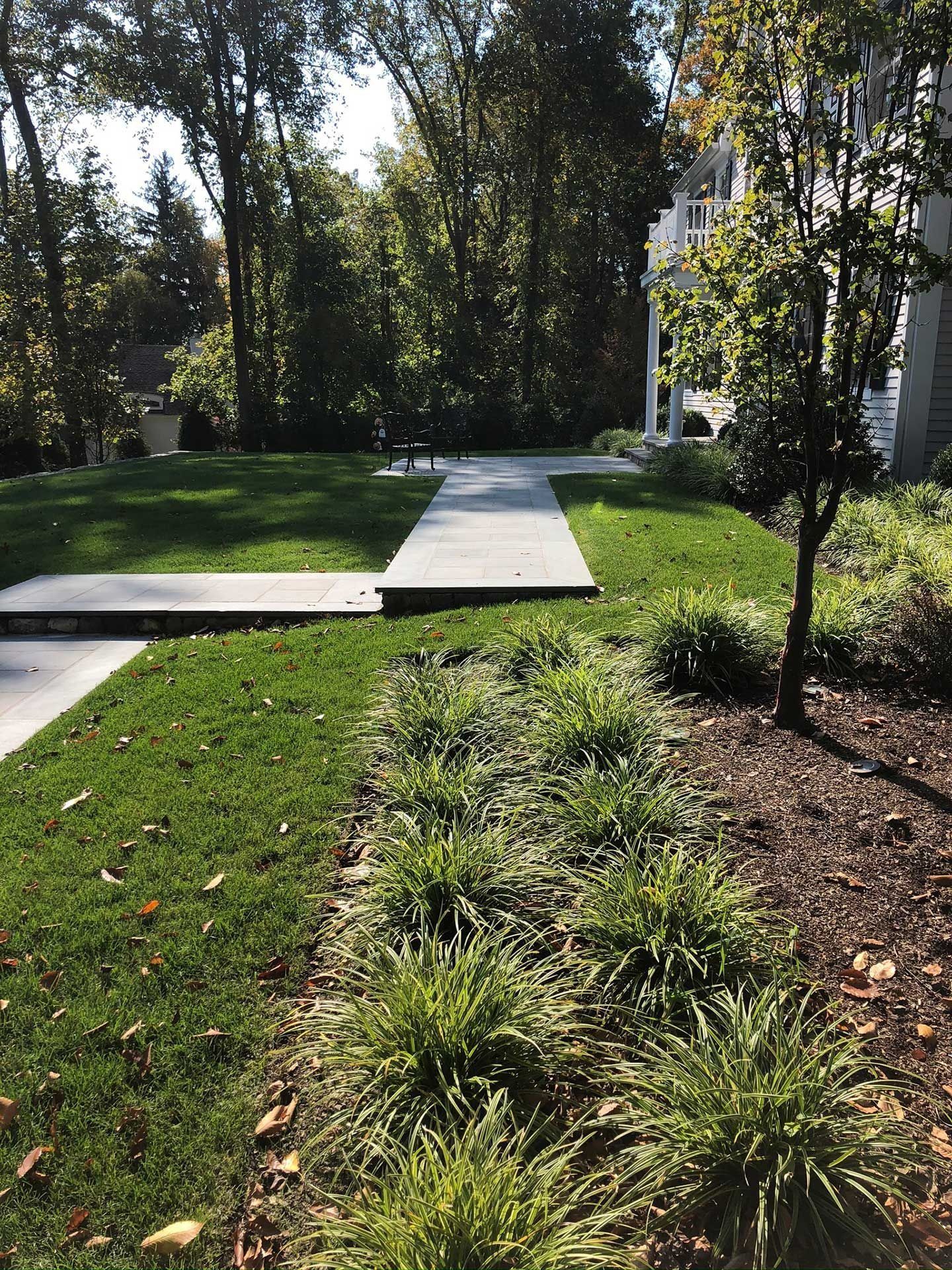 Concrete walkway through grassy yard with trees and shrubs beside a house