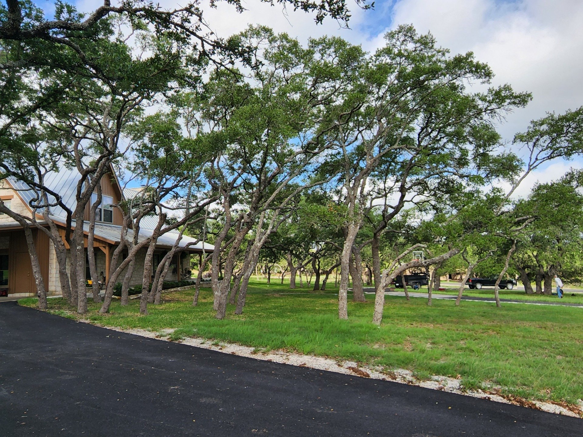 J&J Tree Care Professionals Tree Trimming Services