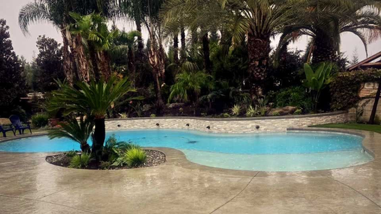 Curved turquoise swimming pool with tropical plants and stone patio in a landscaped garden