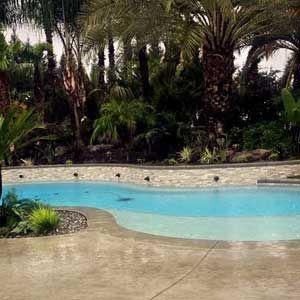 Curved backyard pool with turquoise water, concrete deck, and tropical palm landscaping