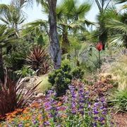 Tropical garden with palm trees and colorful purple, orange, and red flowers