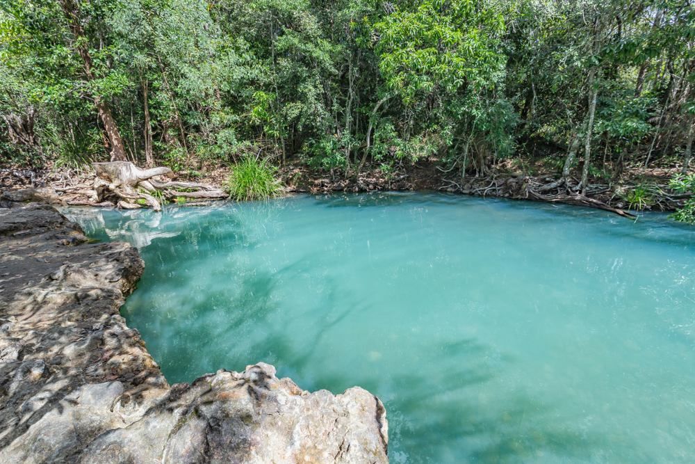 A Small Pond Surrounded By Trees And Rocks In The Middle Of A Forest — Ward's Aluminium in Cardwell, QLD