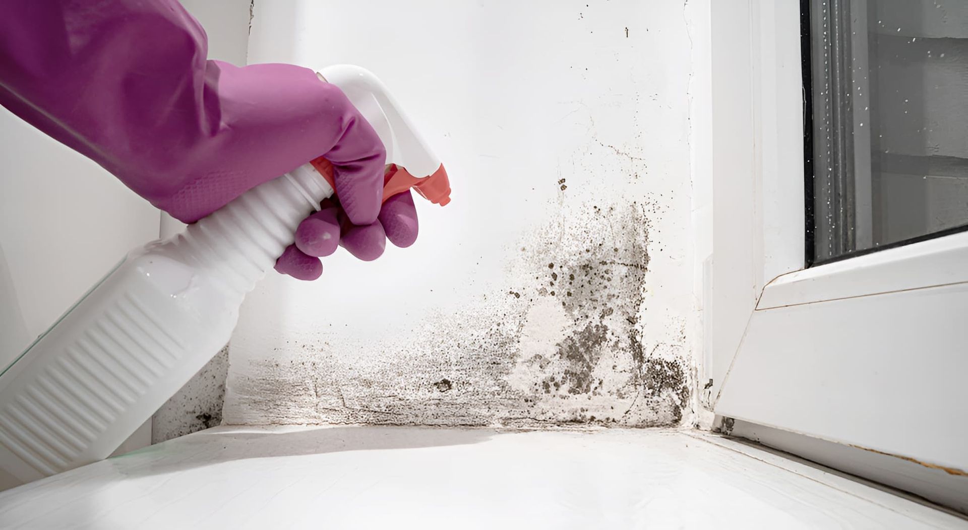 A Person is Cleaning a Window Sill With a Spray Bottle — Veramax Industries in Gladstone, QLD