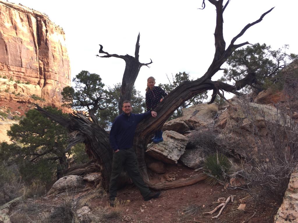 Ancient Juniper in Colorado