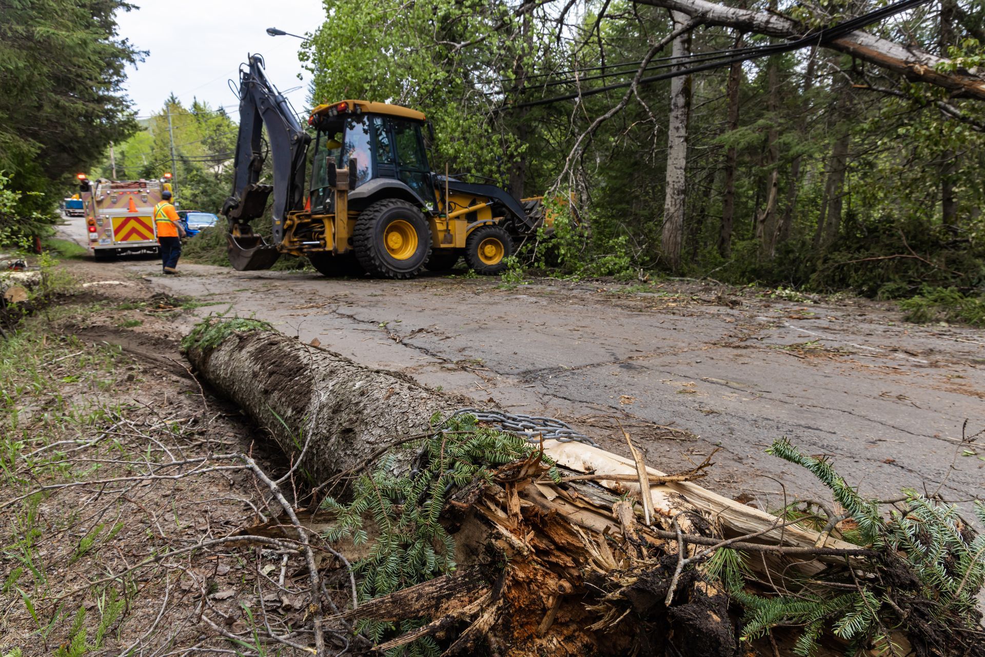 Firefighters clearing fallen trees and debris from a road after a storm.
