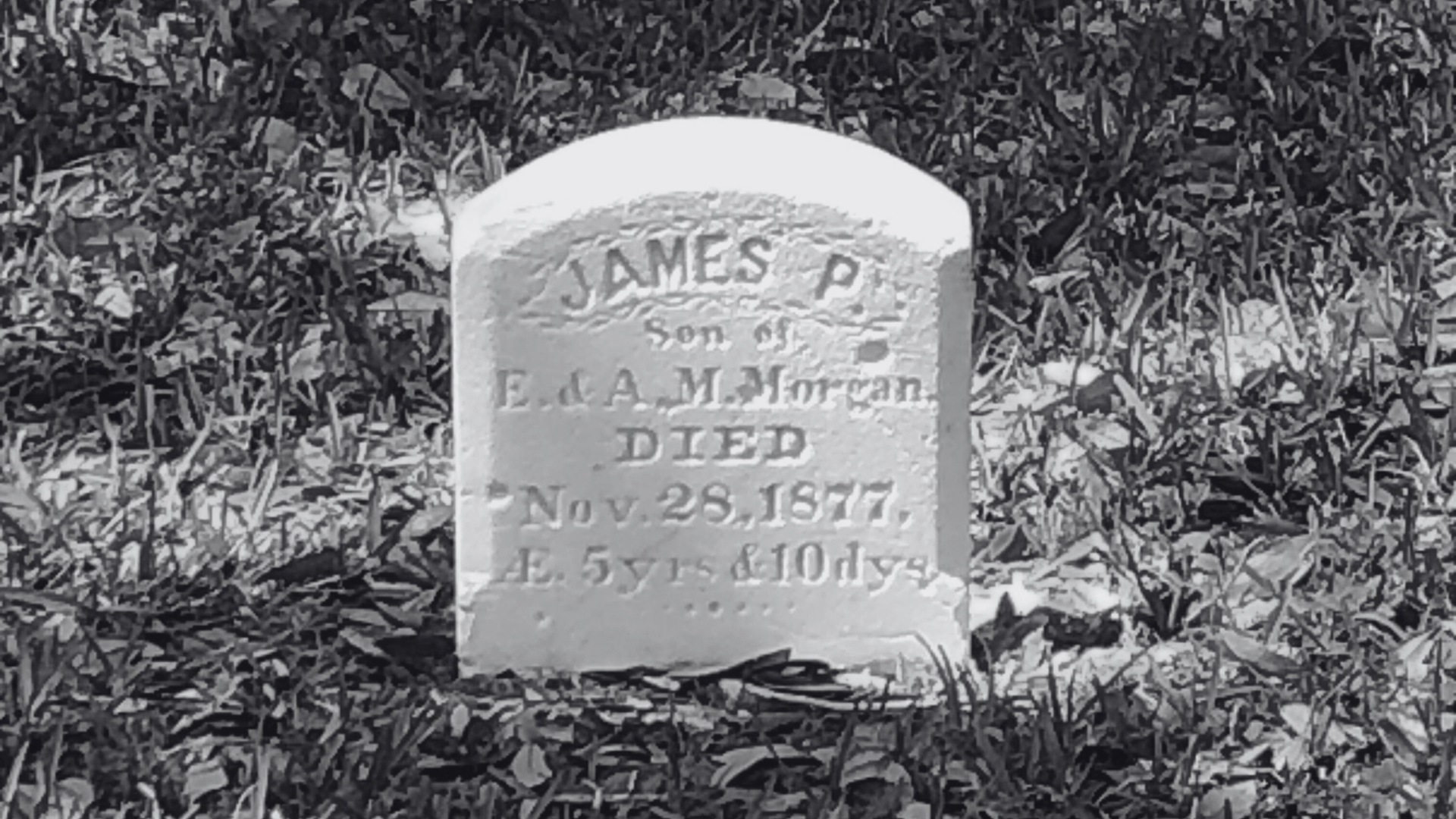 Small weathered gravestone in grass, engraved with “James P.” and death date, in black and white.
