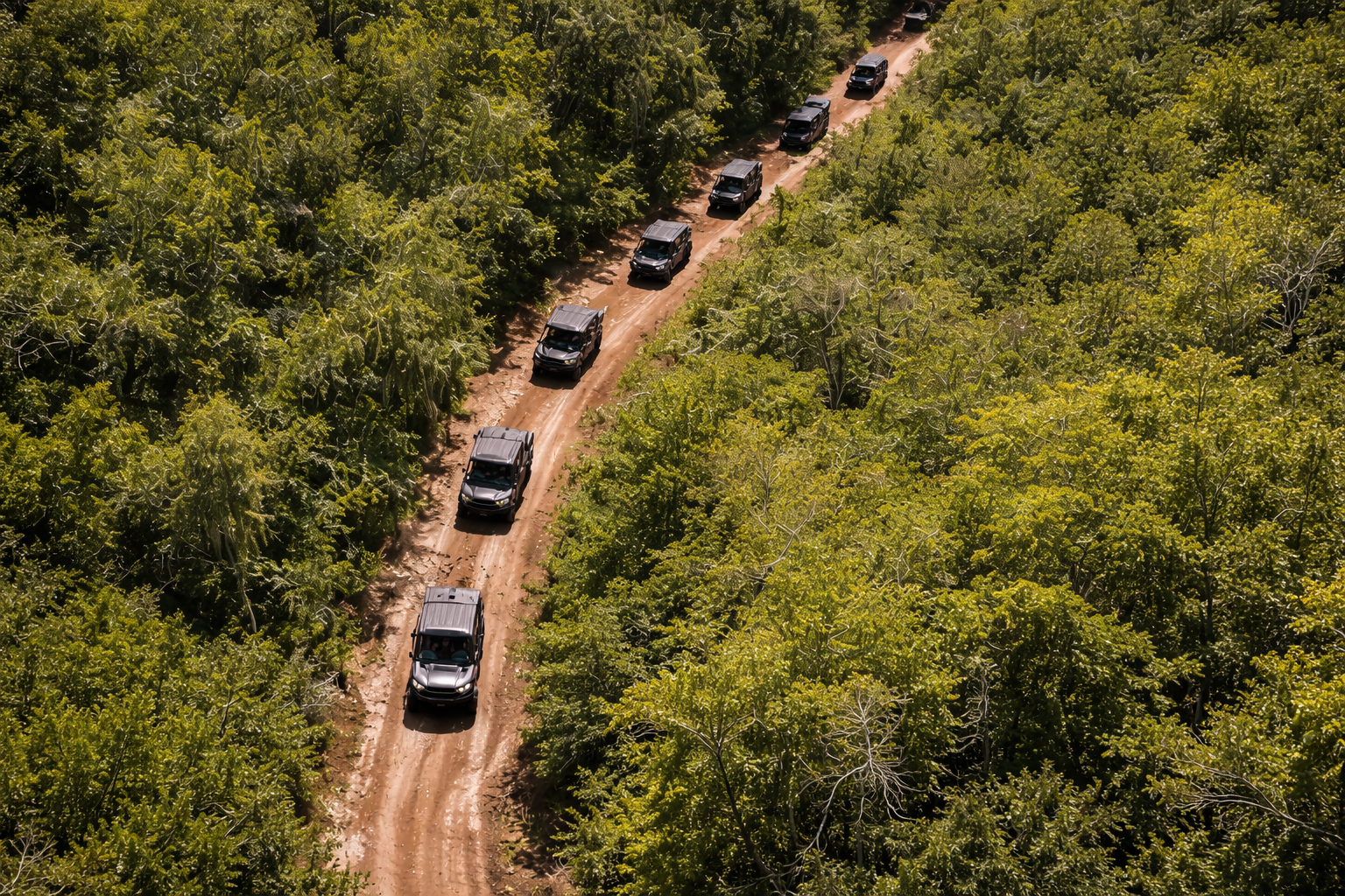 Line of SUVs driving along a dusty dirt road through dense green forest.